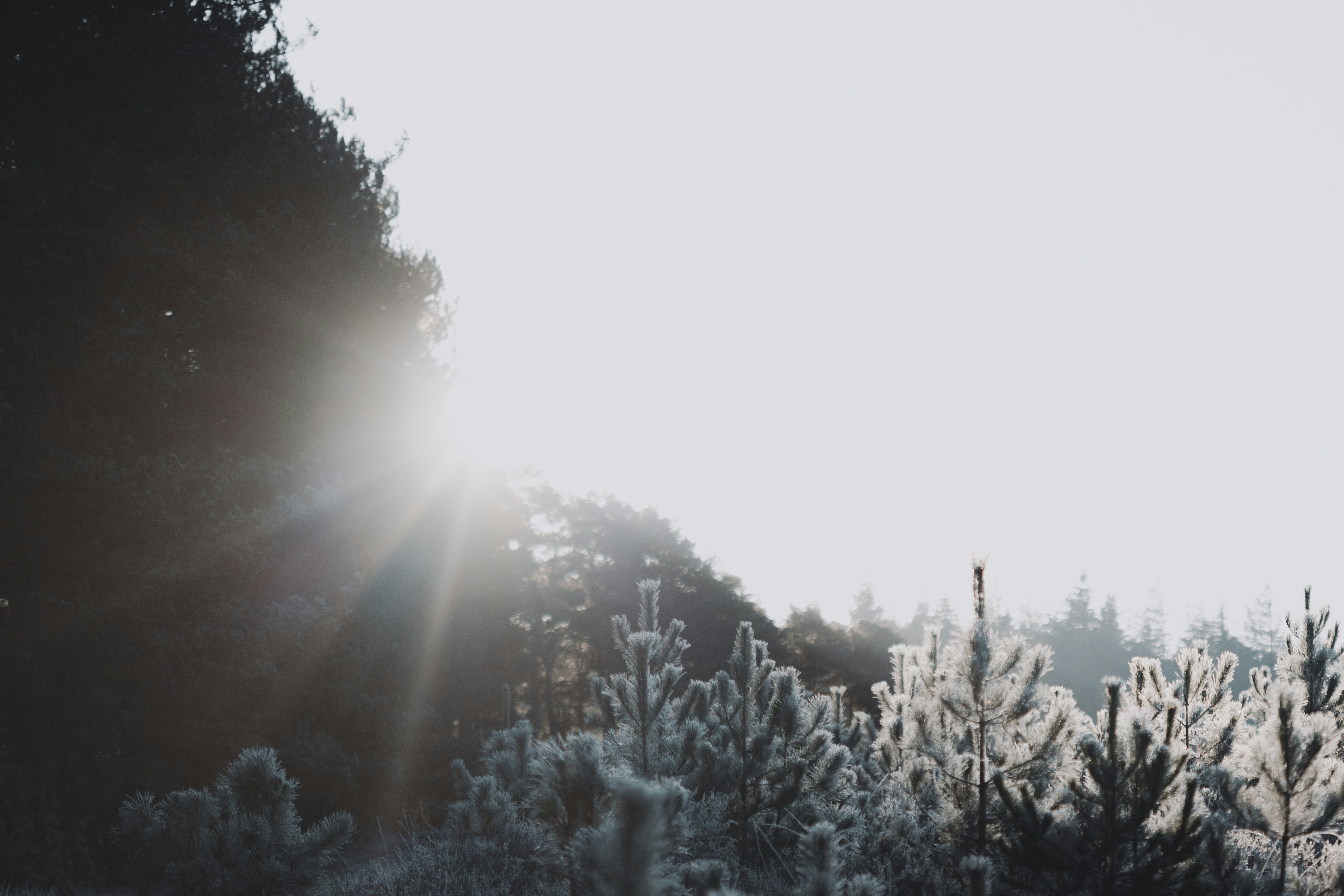 Photo by anniespratt