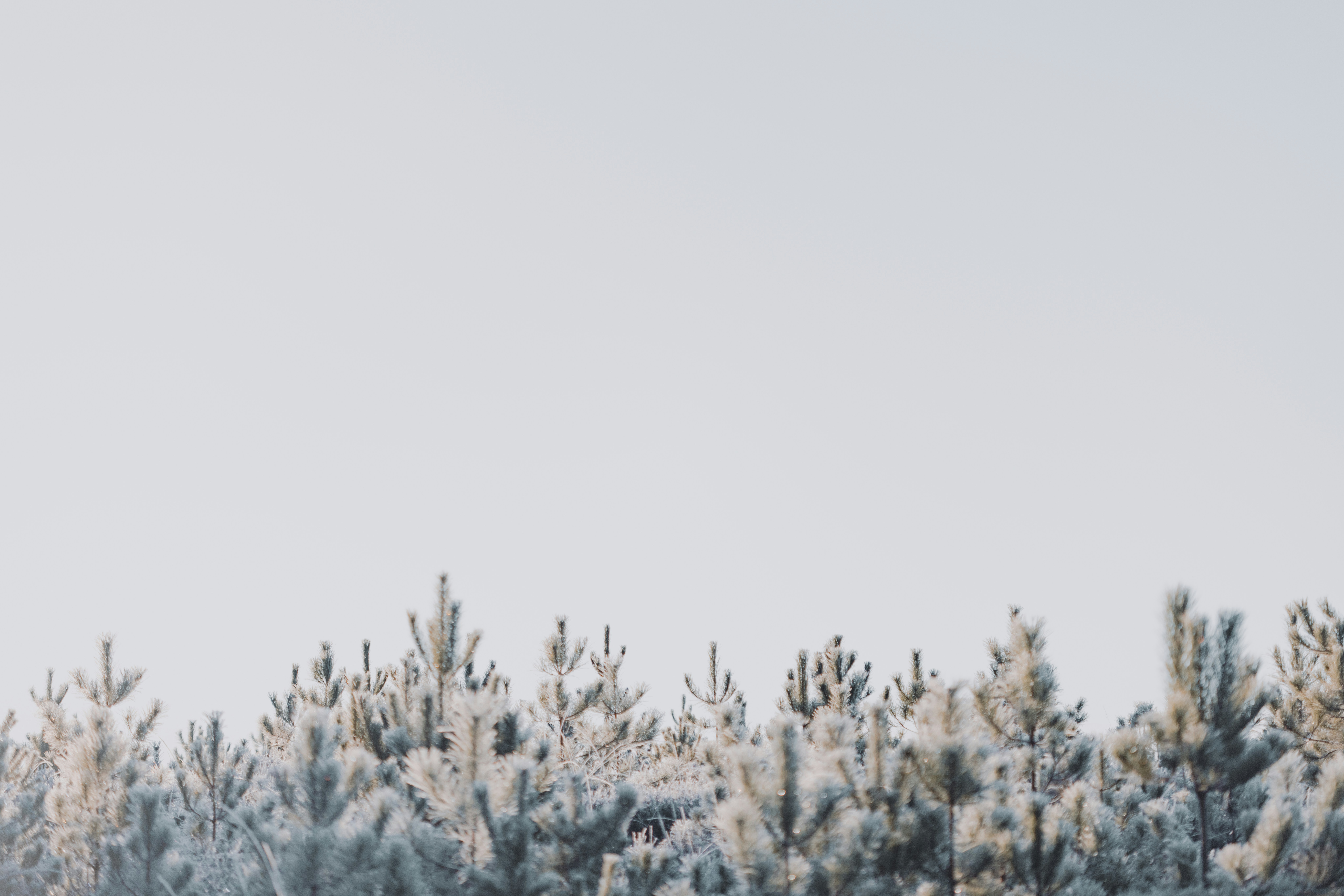 A snowboarder is going down a snowy hill