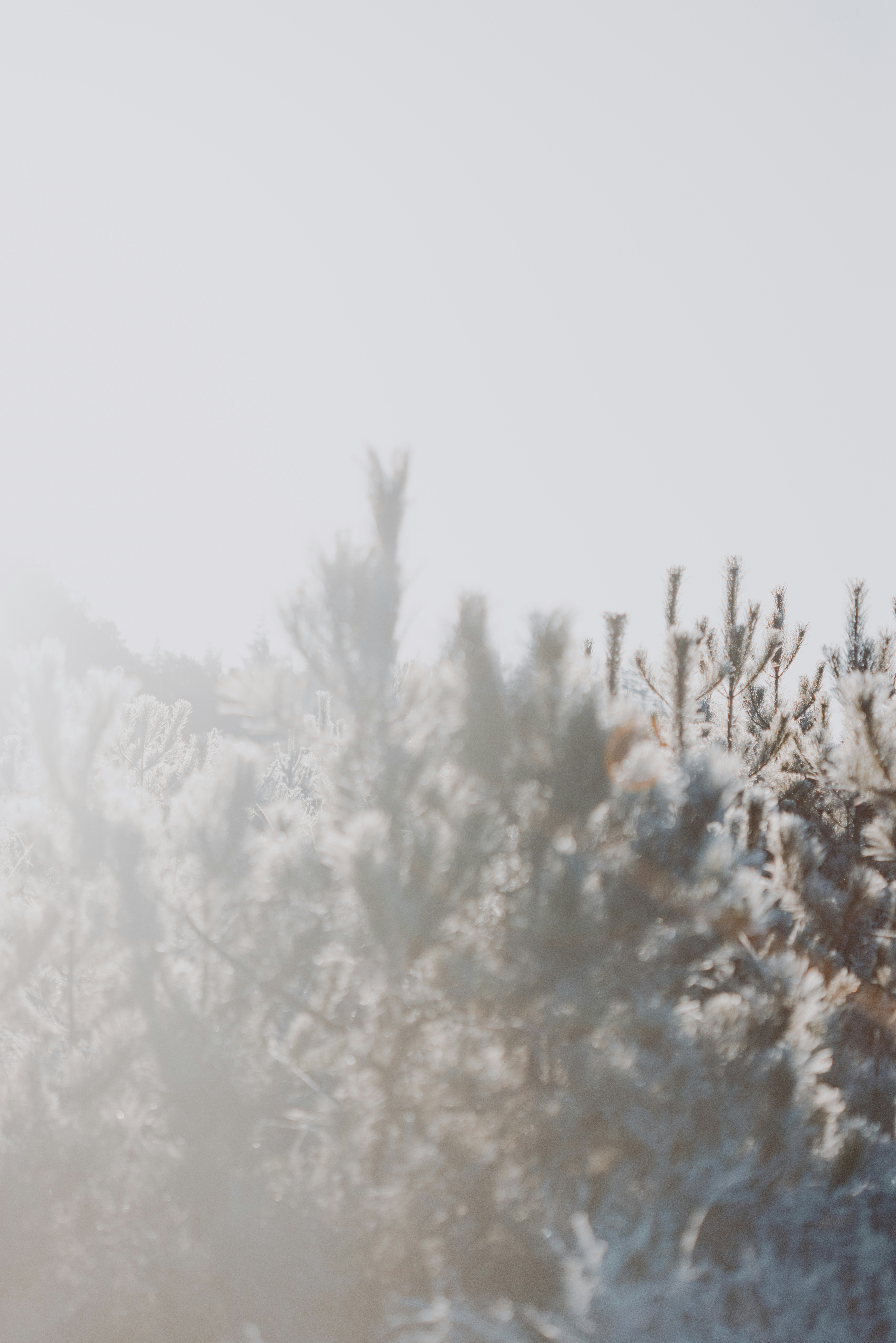 Photo by anniespratt