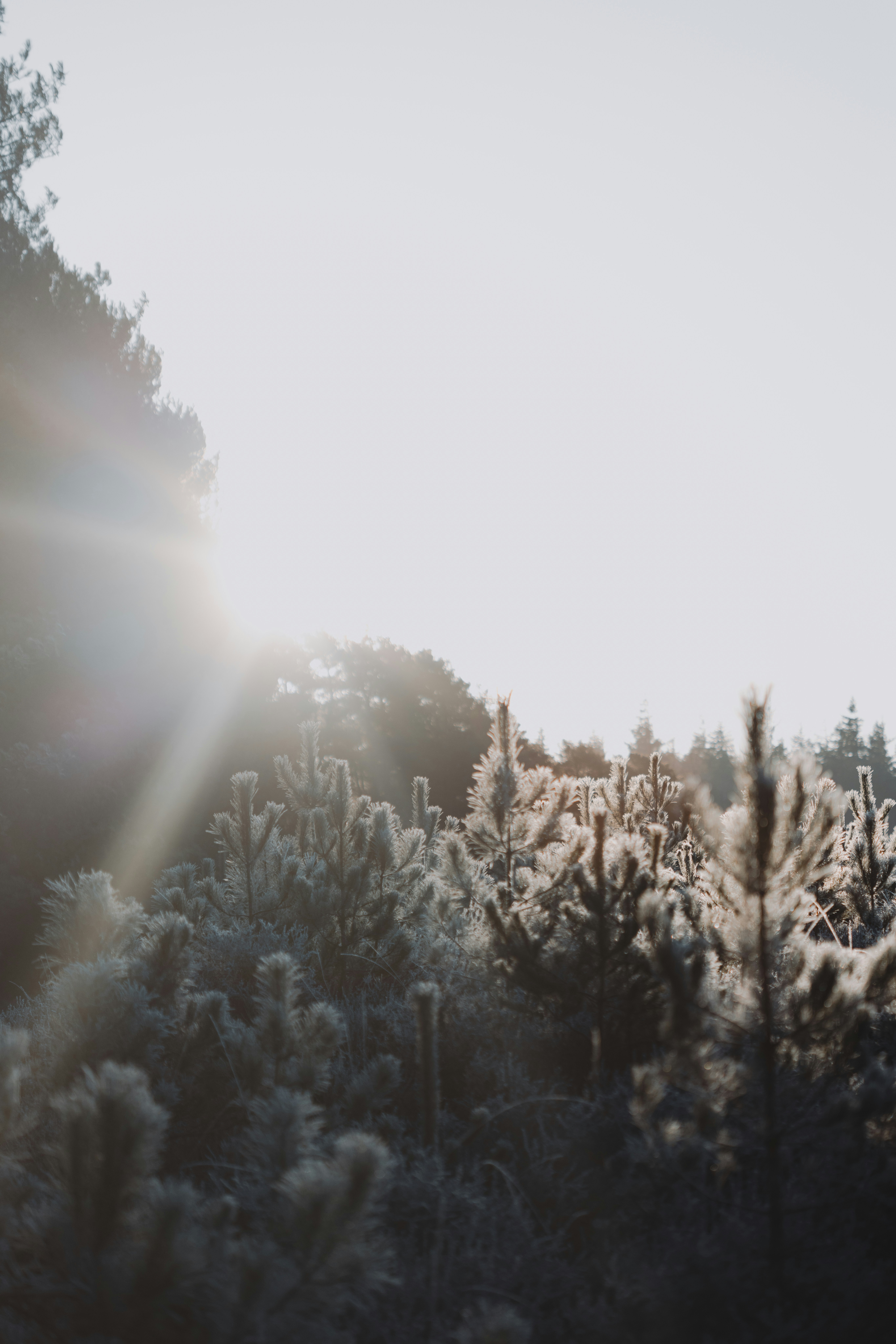 Photo by anniespratt