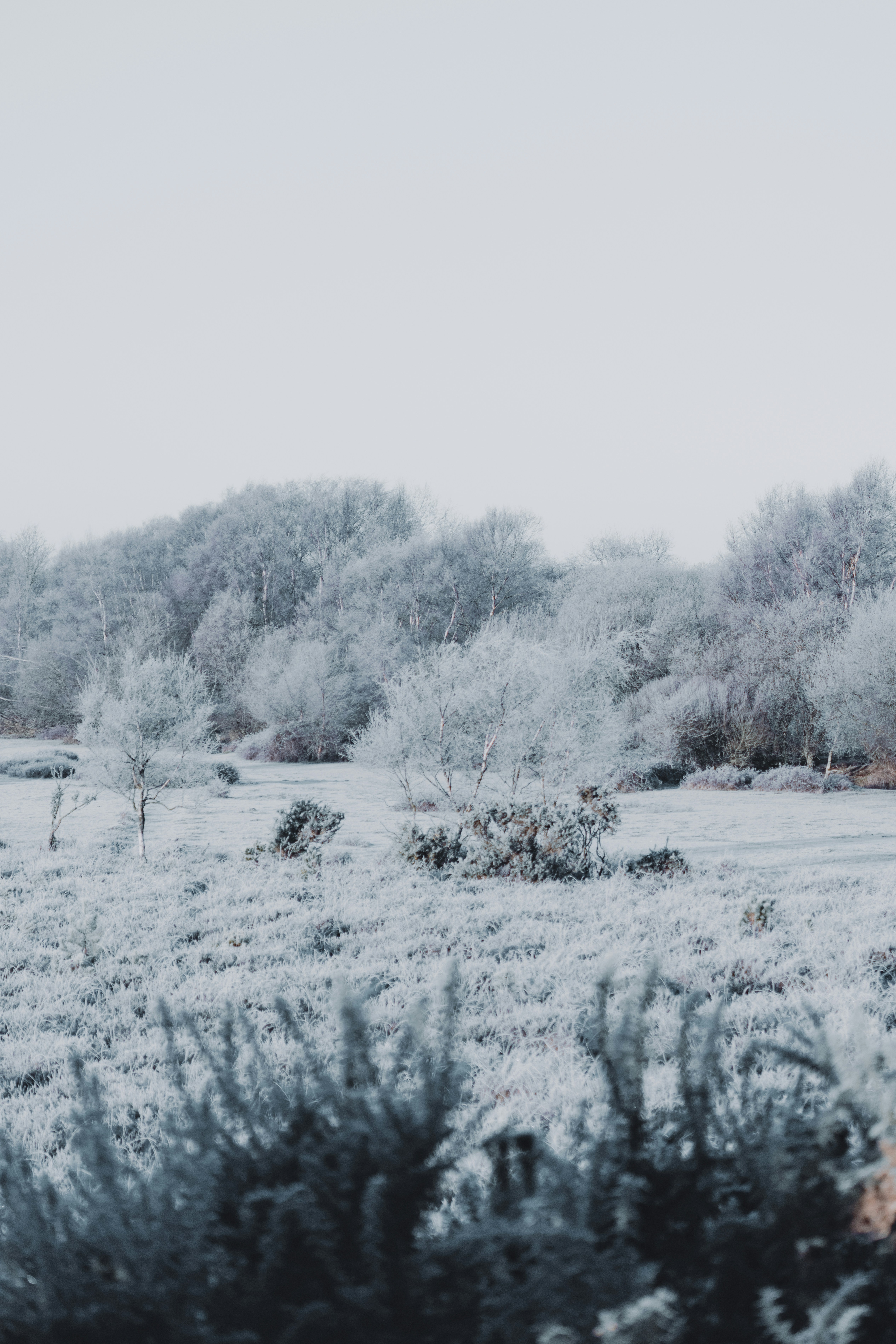 Photo by anniespratt