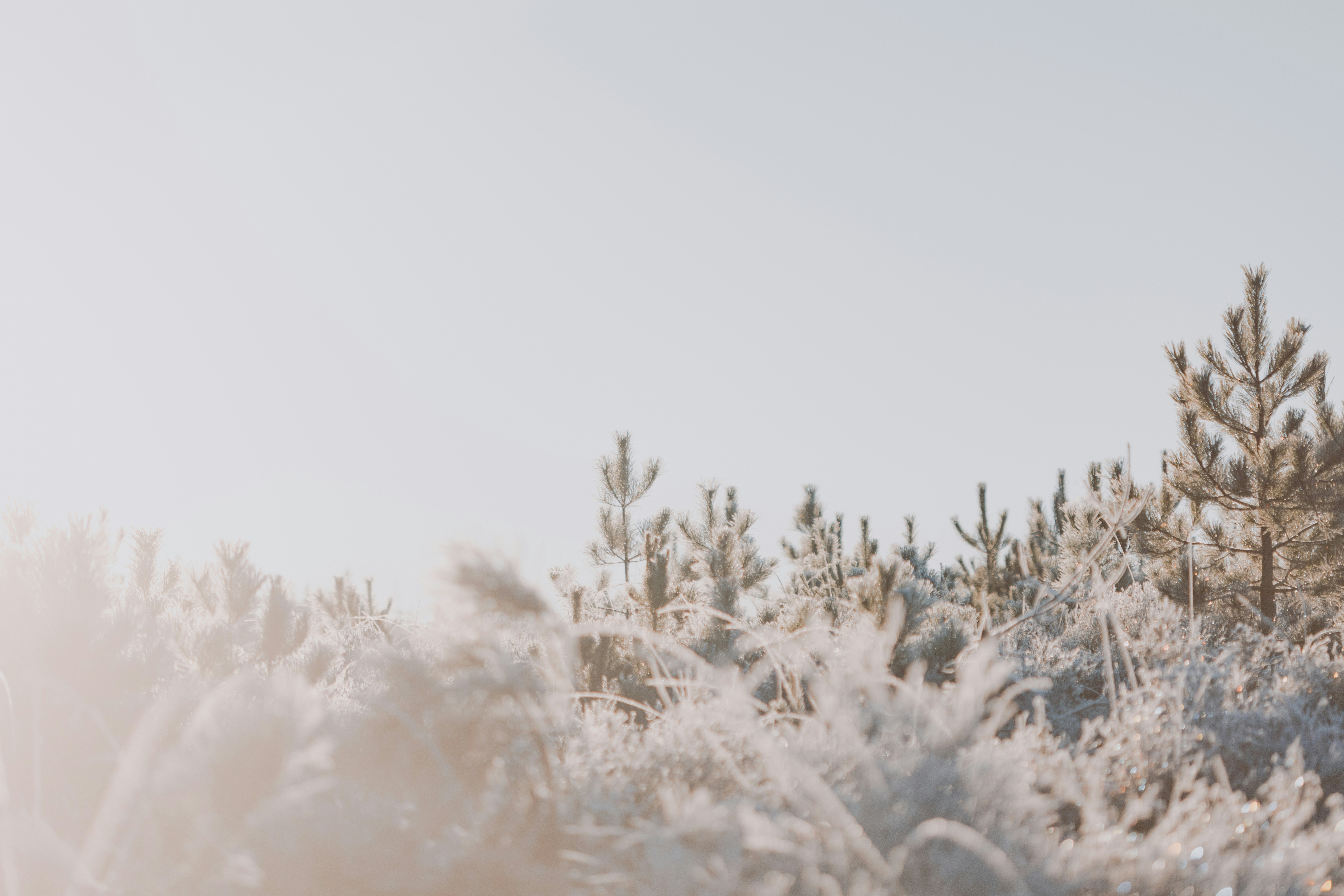 Photo by anniespratt