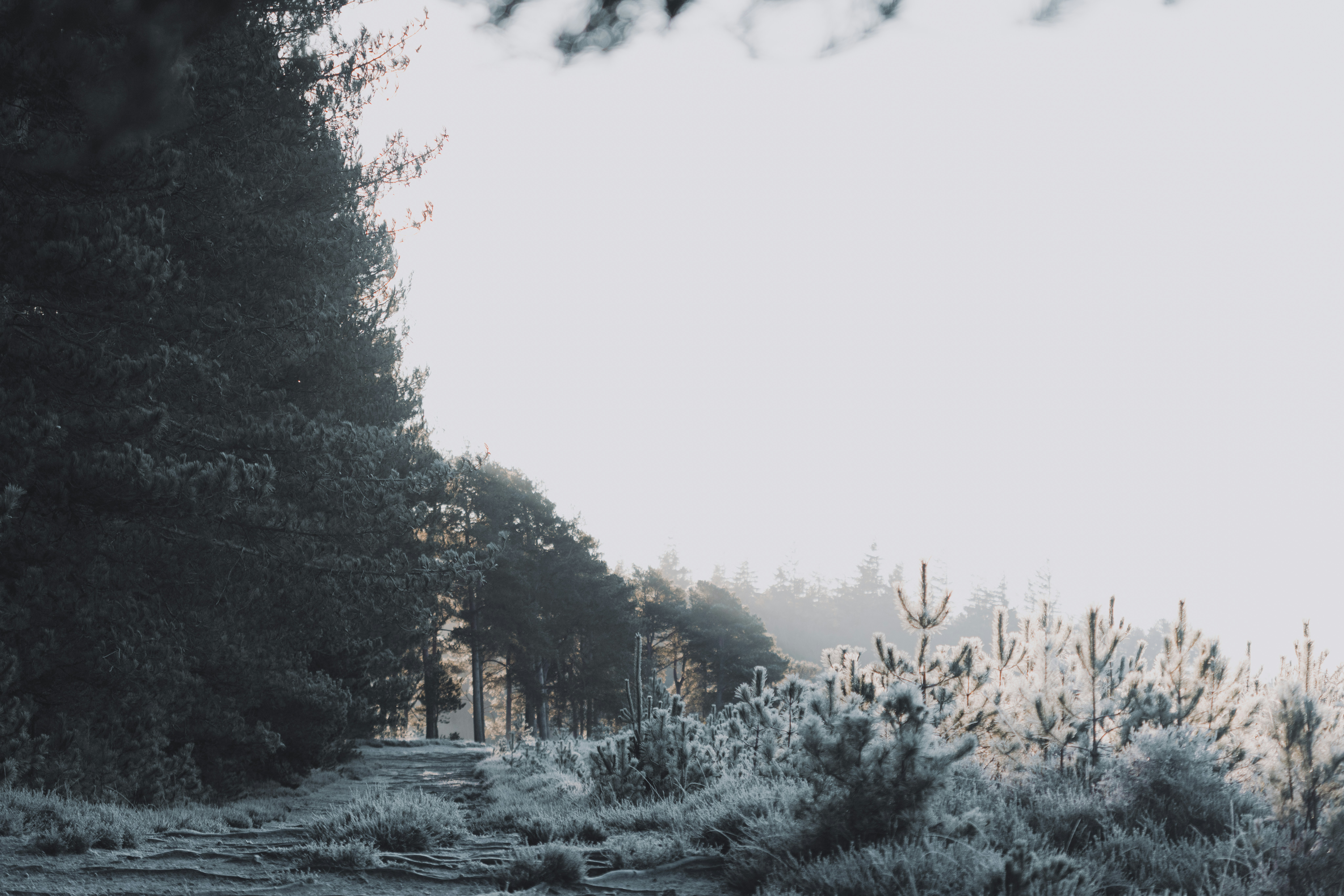 Photo by anniespratt