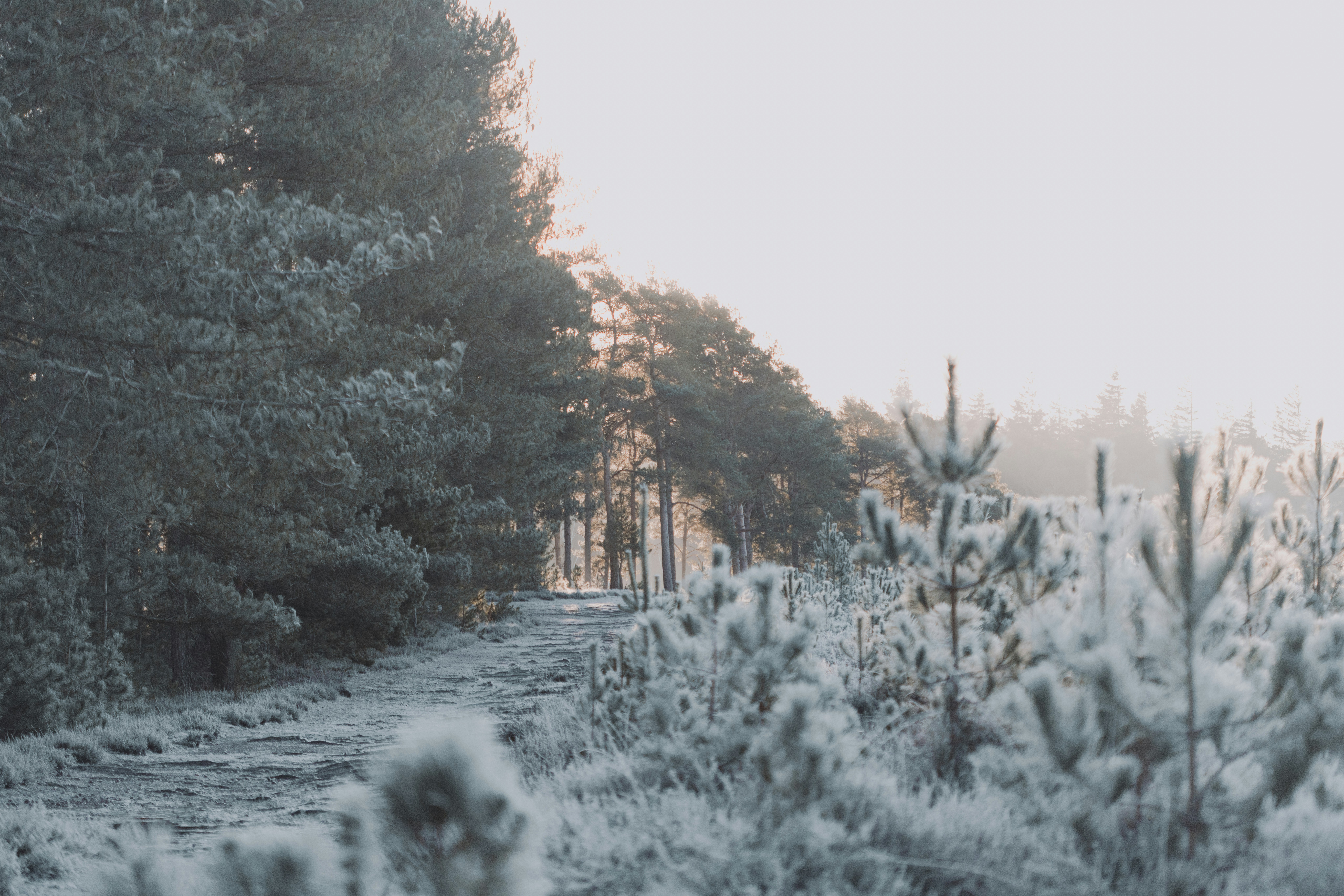 Comment aborder déprime saisonnière