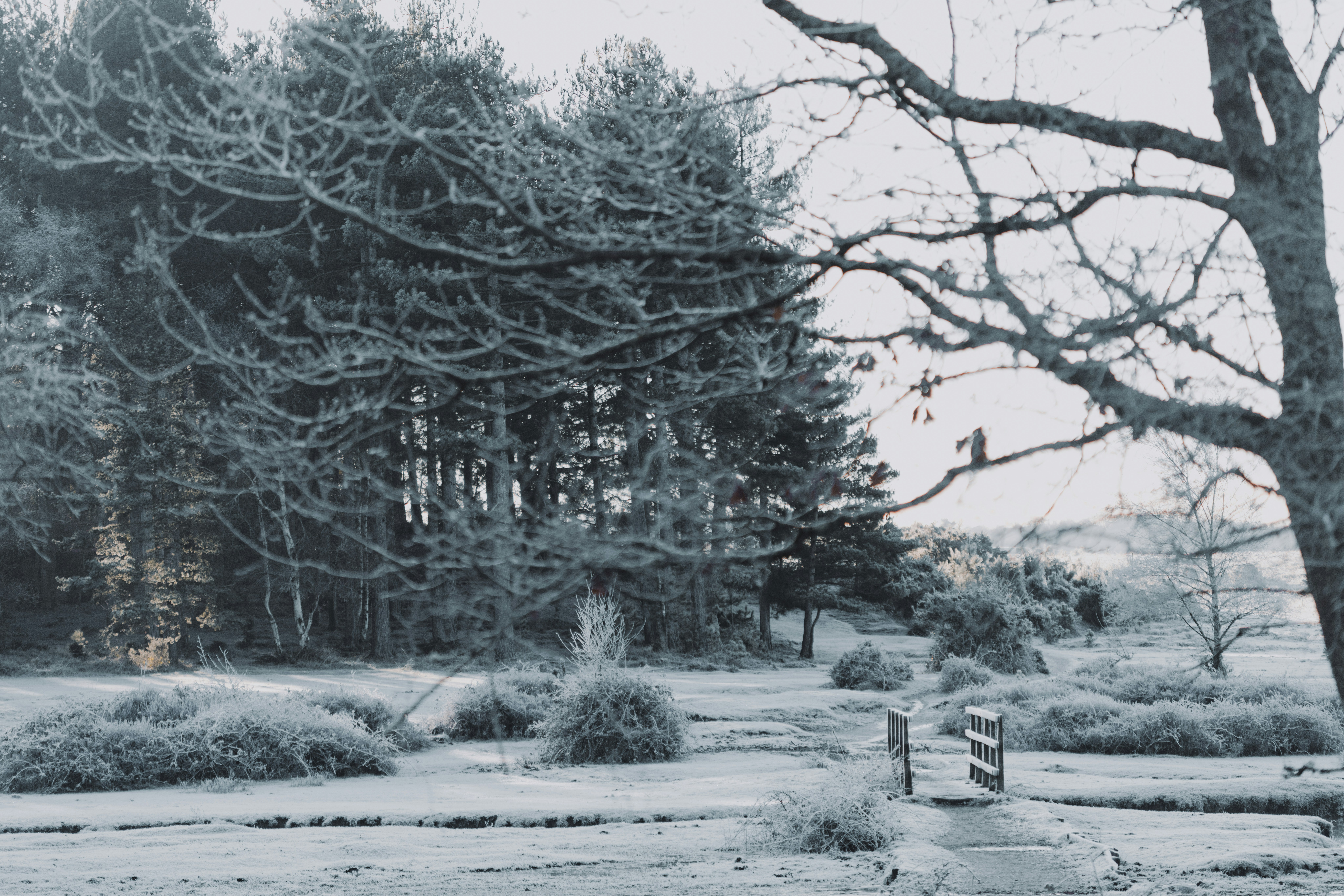 Photo by anniespratt