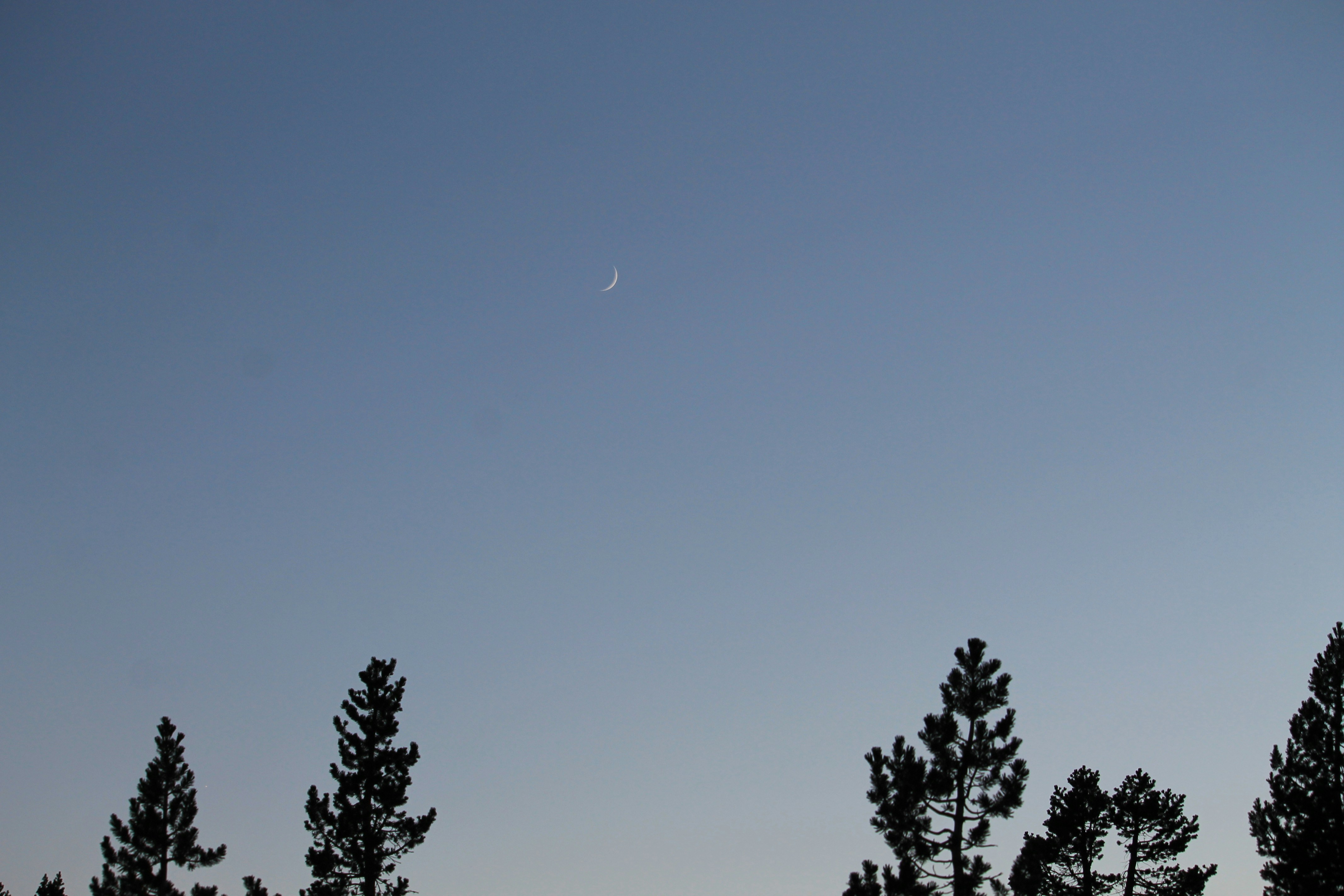 Photo by martinachitarrini