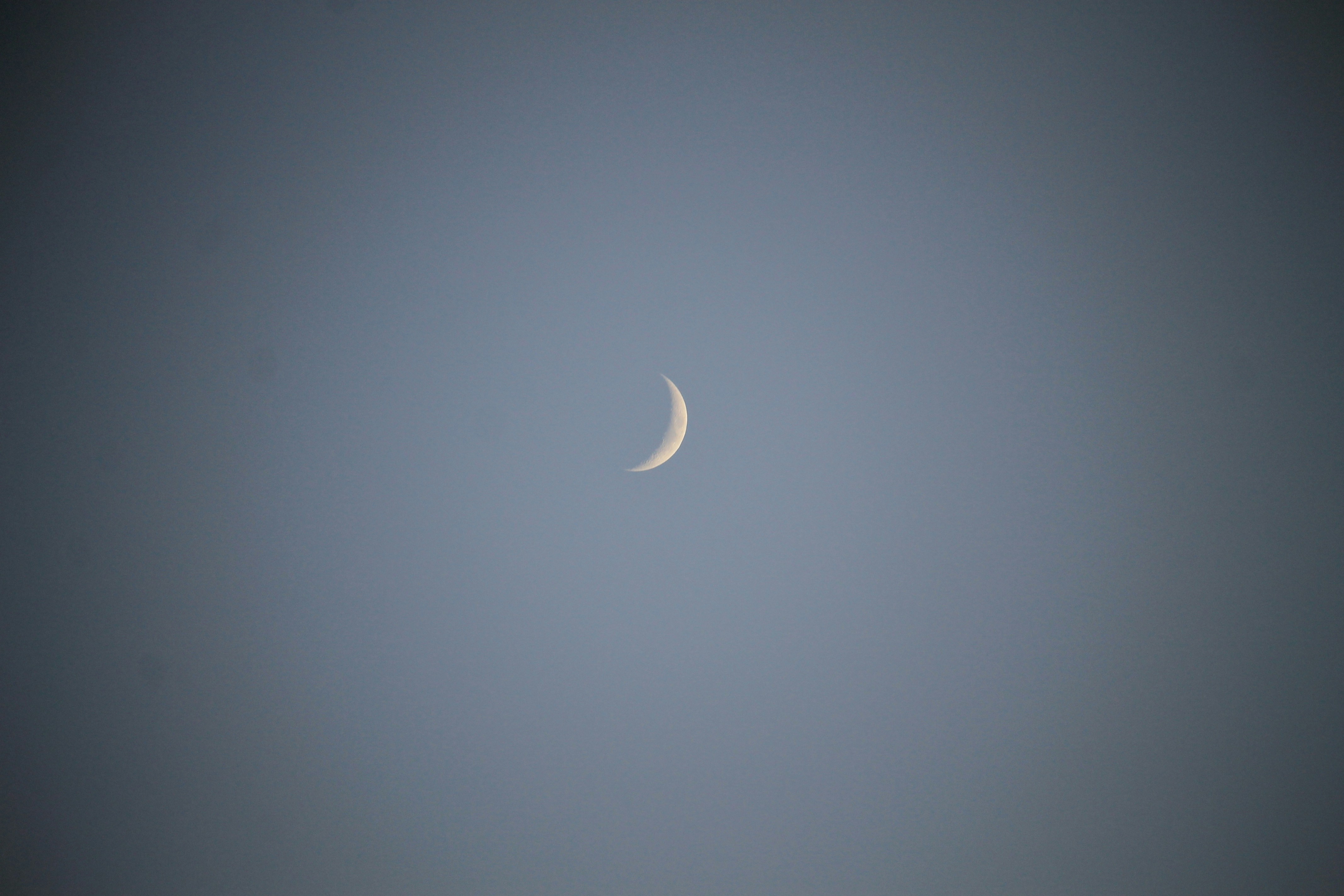 Photo by martinachitarrini