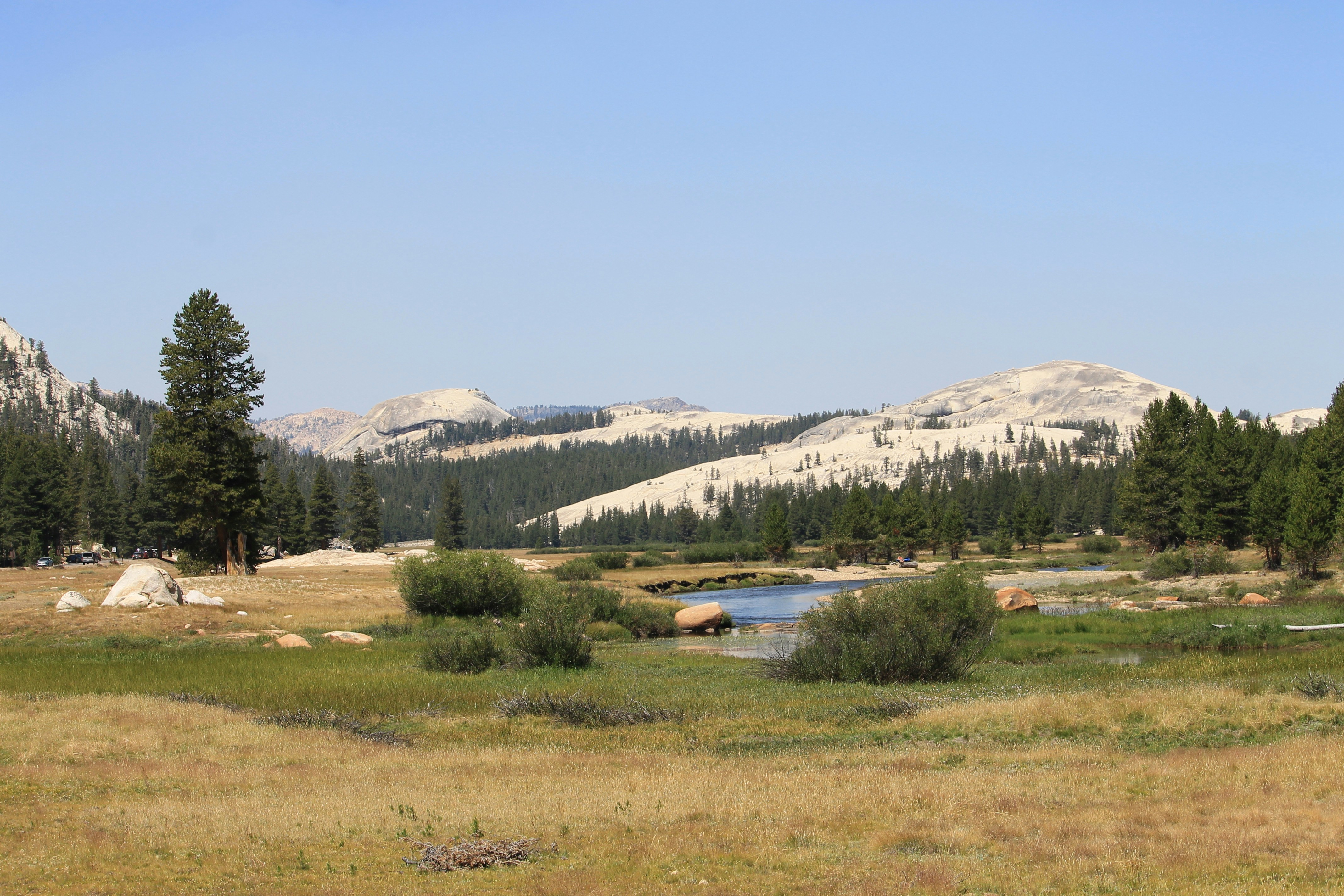 Photo by martinachitarrini