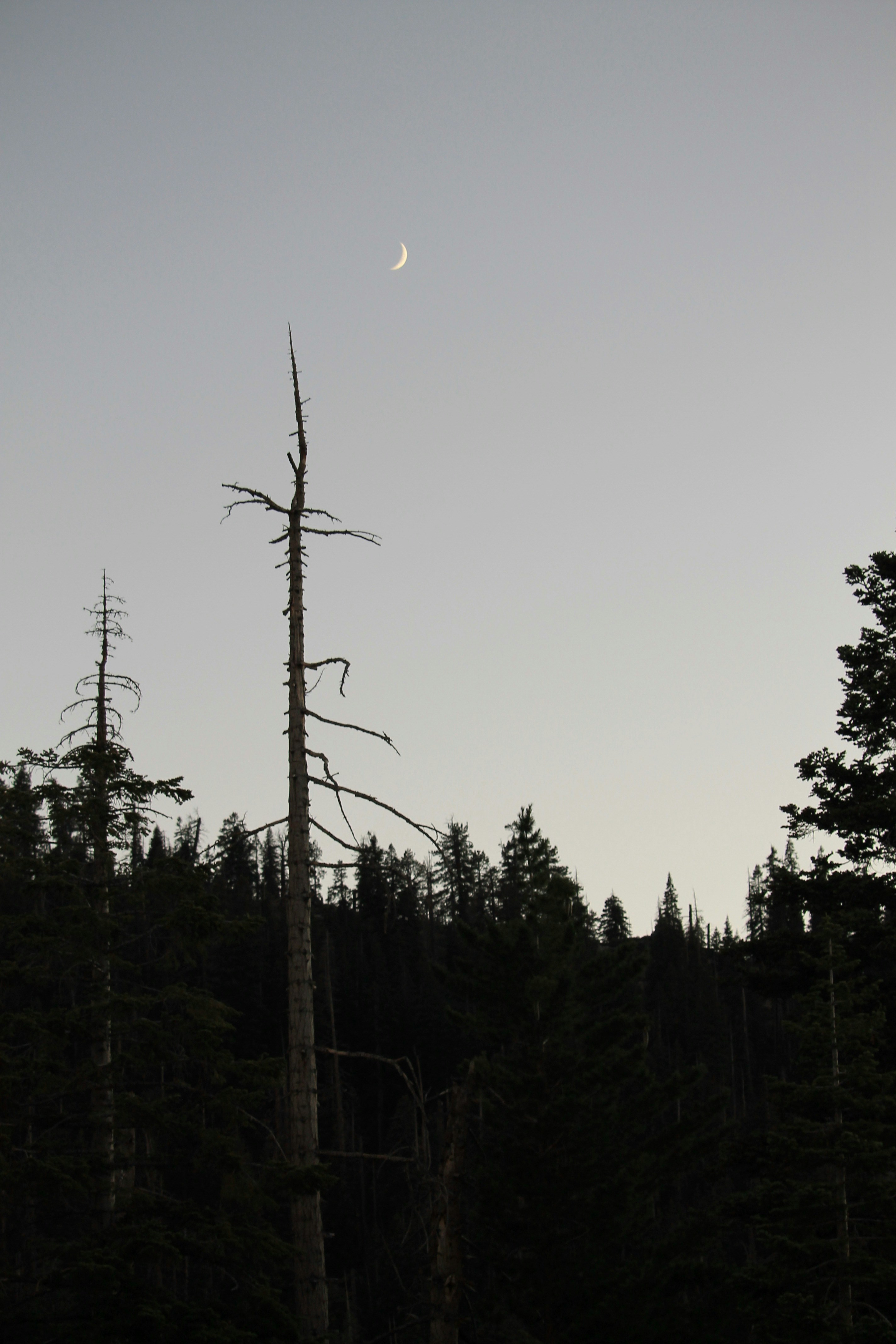 Photo by martinachitarrini