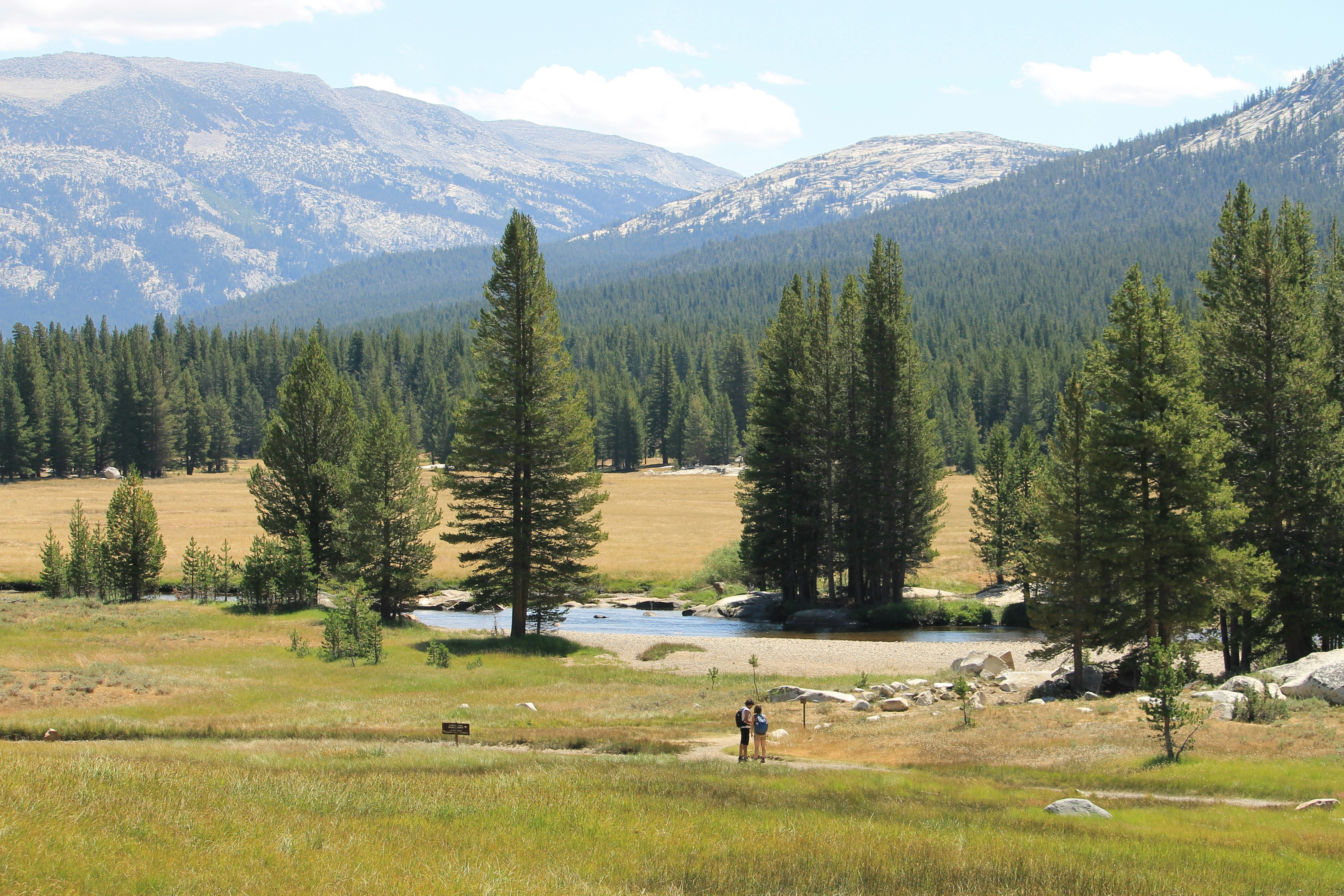 Photo by martinachitarrini