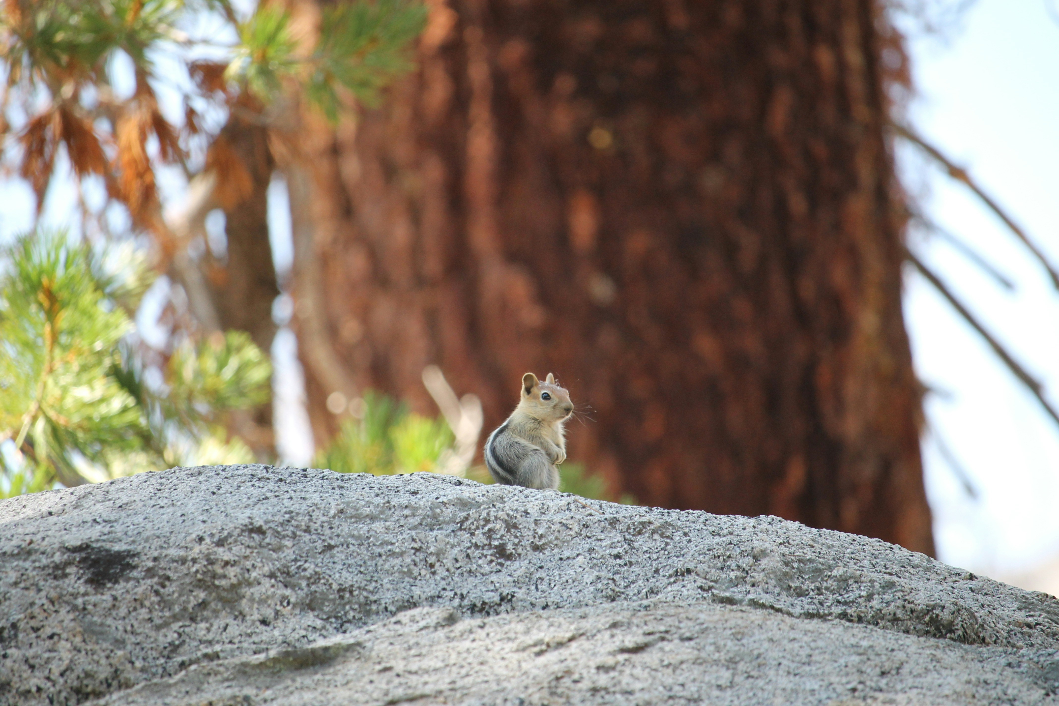 Photo by martinachitarrini