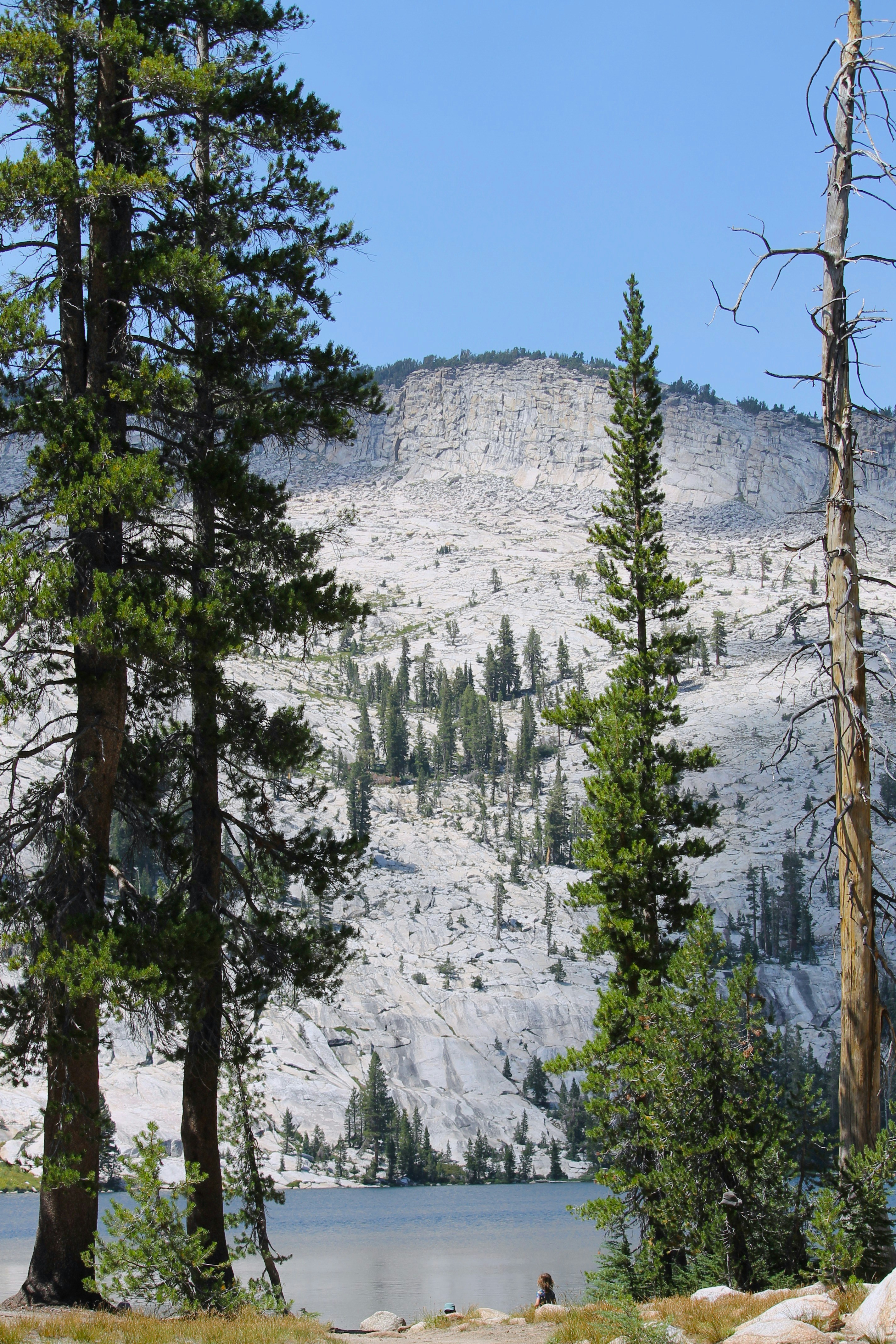 Photo by martinachitarrini