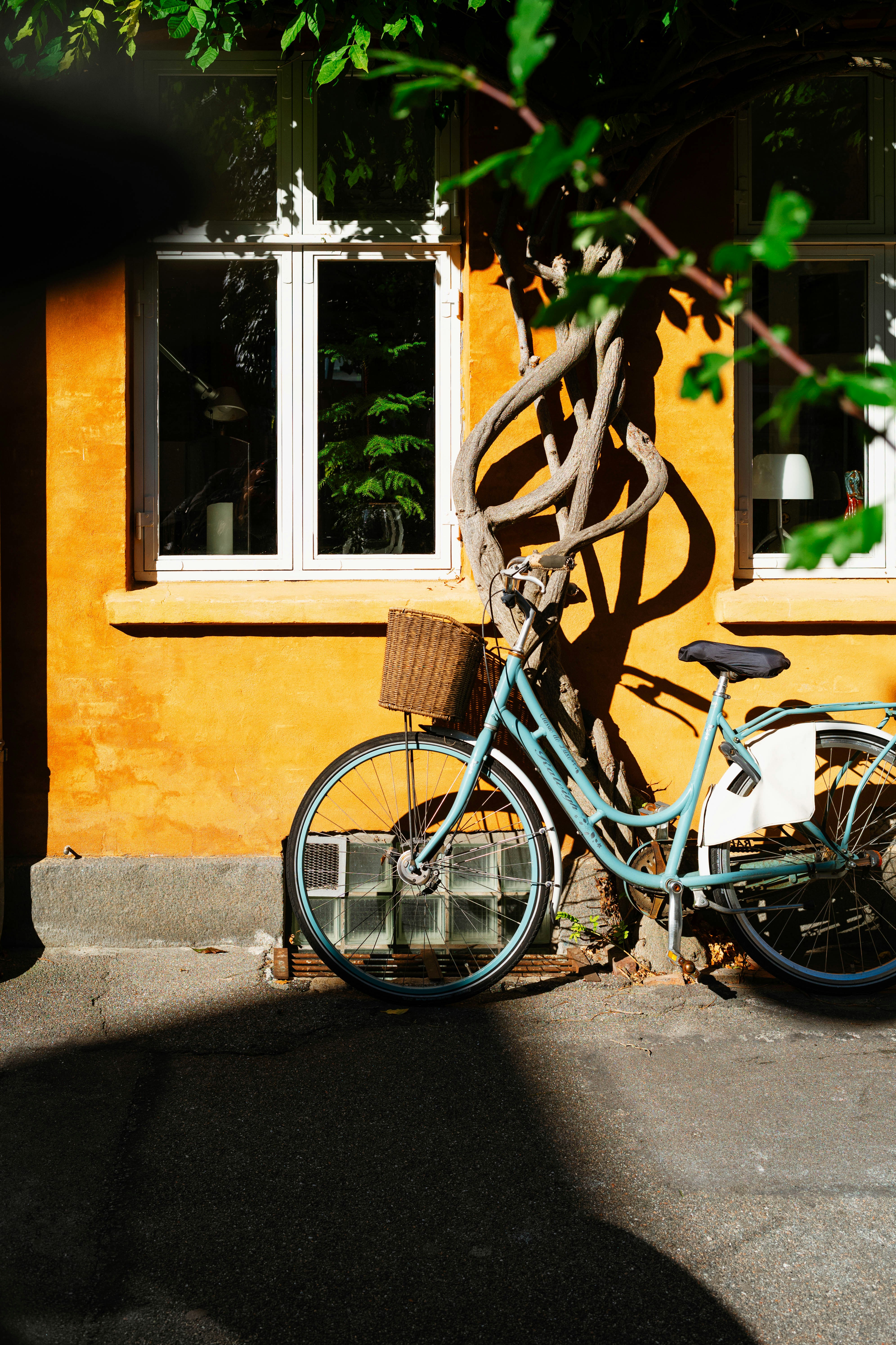 Photo by tommaomaoer