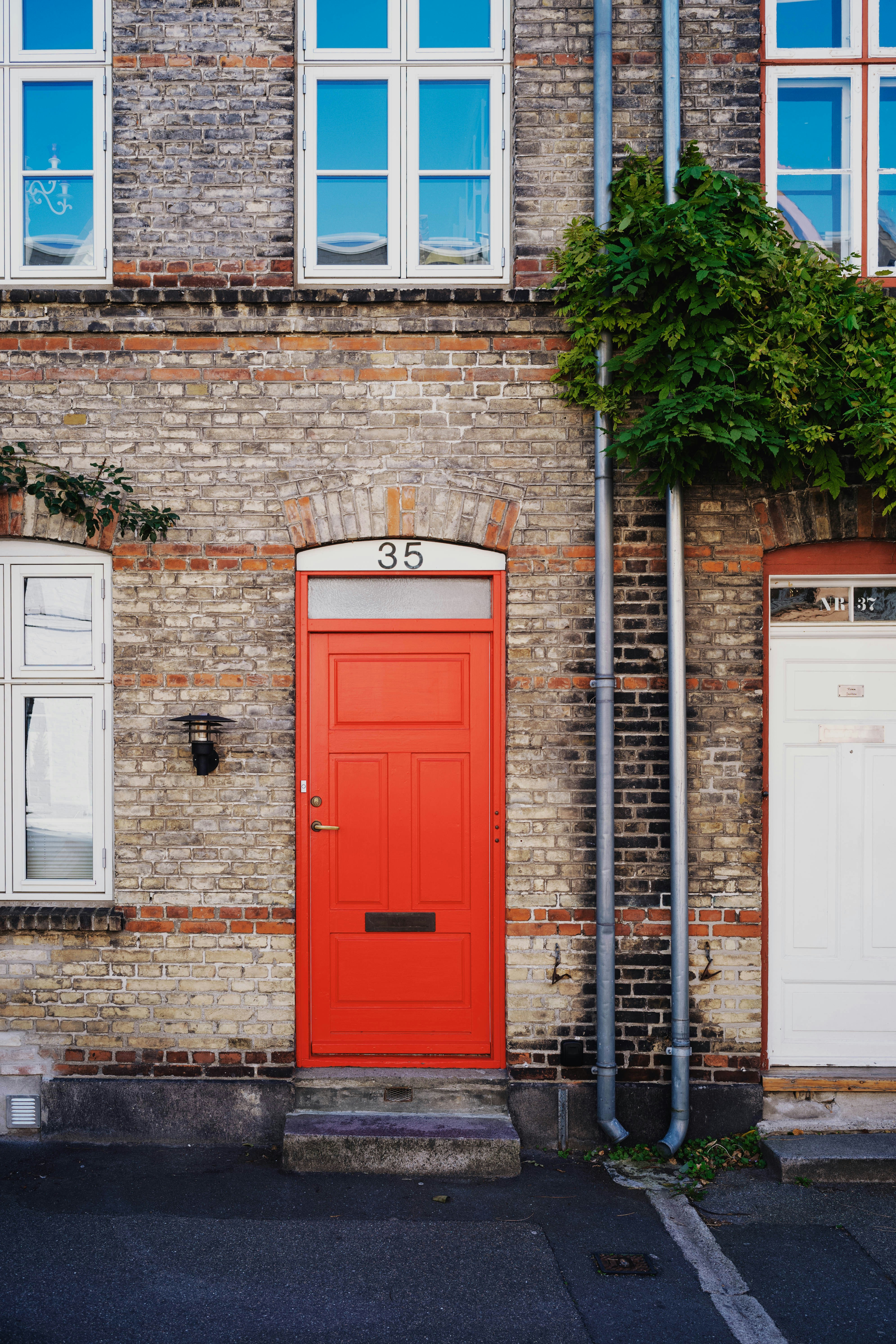 Photo by tommaomaoer