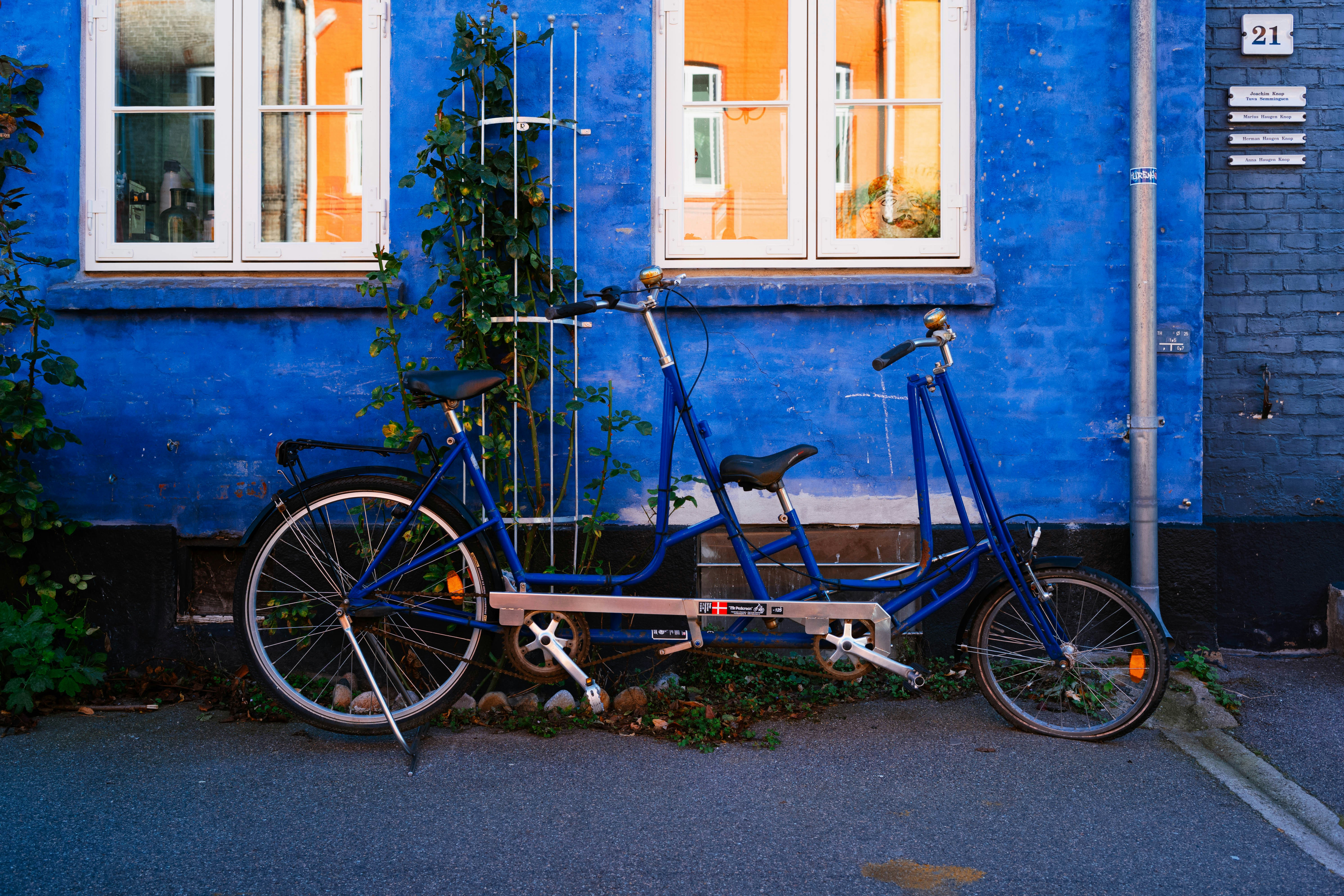 Photo by tommaomaoer