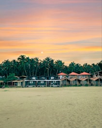 A row of houses on a beach with palm trees in the background