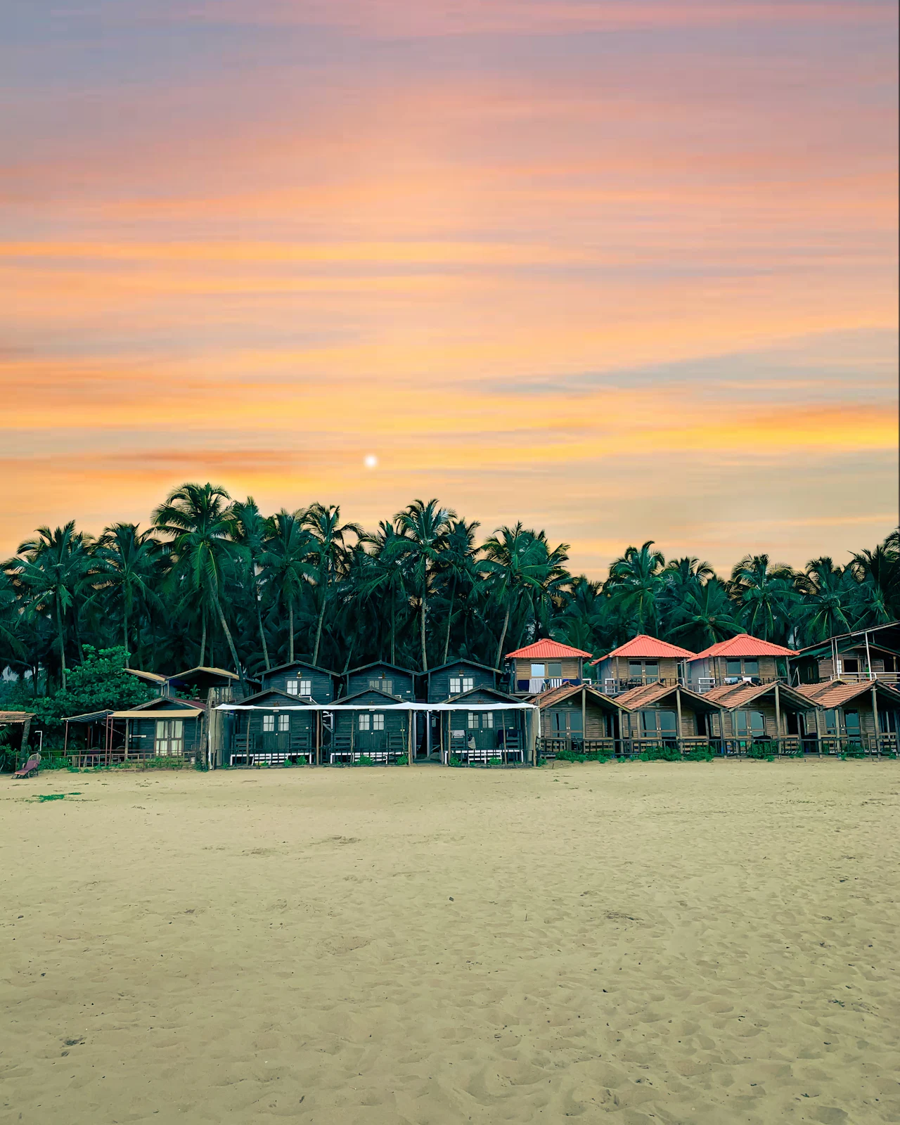 Beach huts under palms glowing in the last light of the day