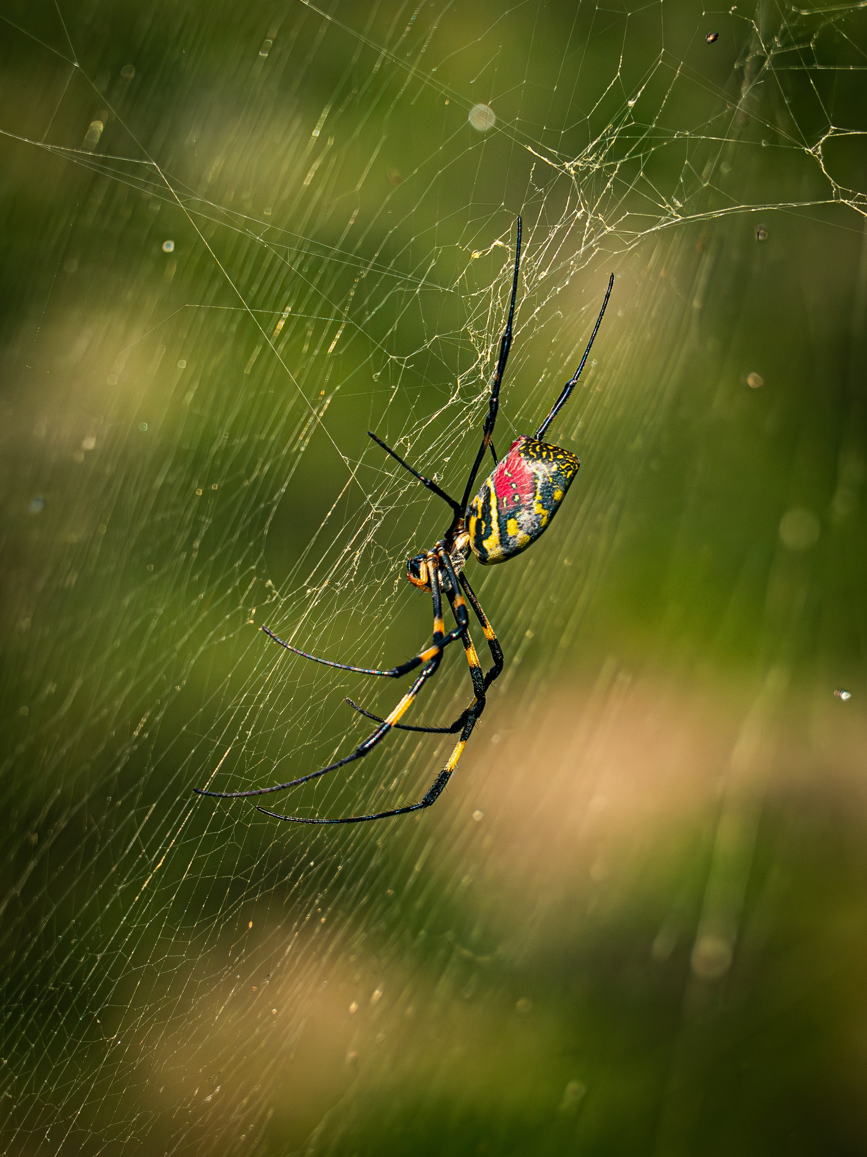 Photo by poli_graphy