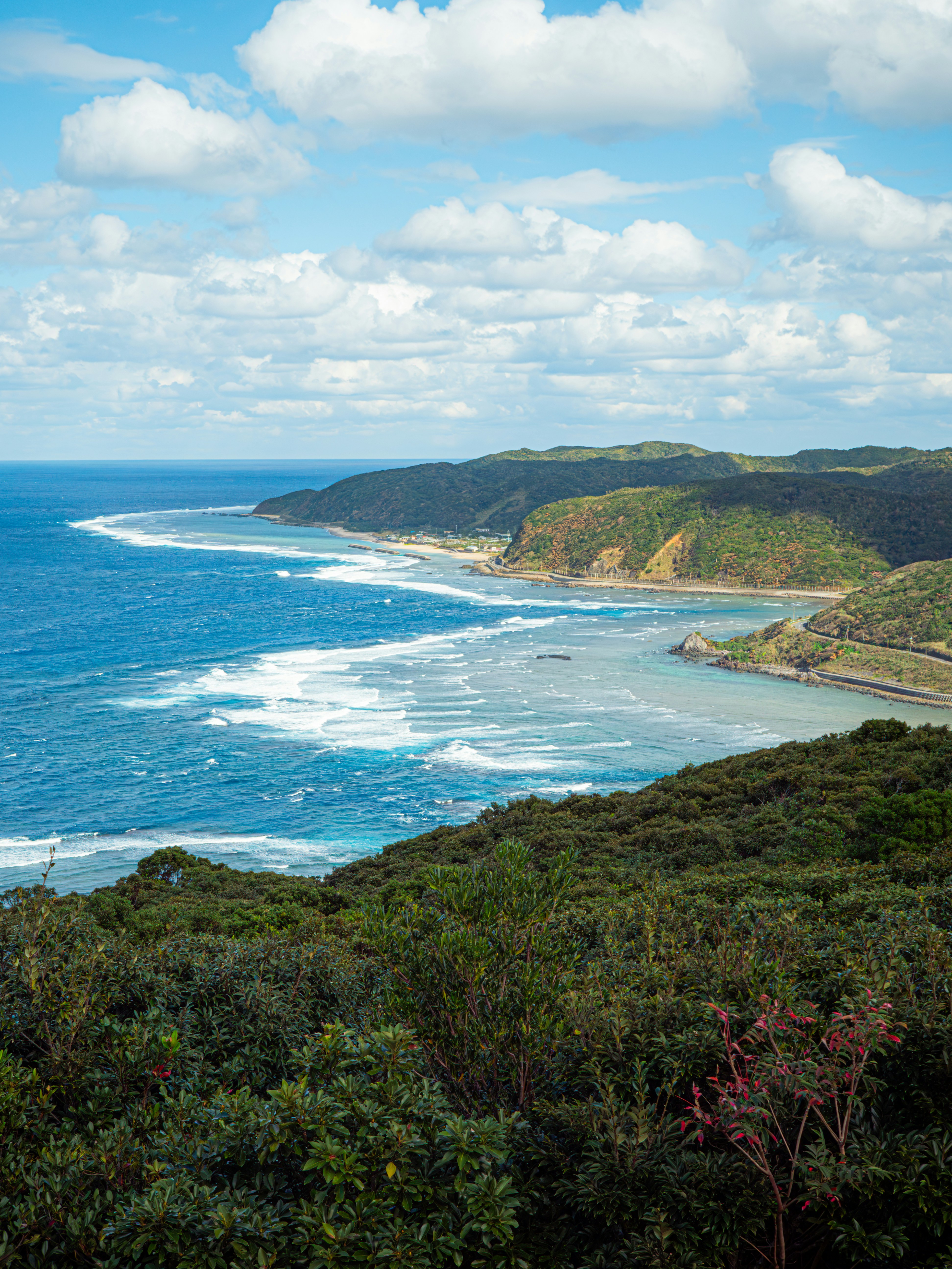 Photo by poli_graphy