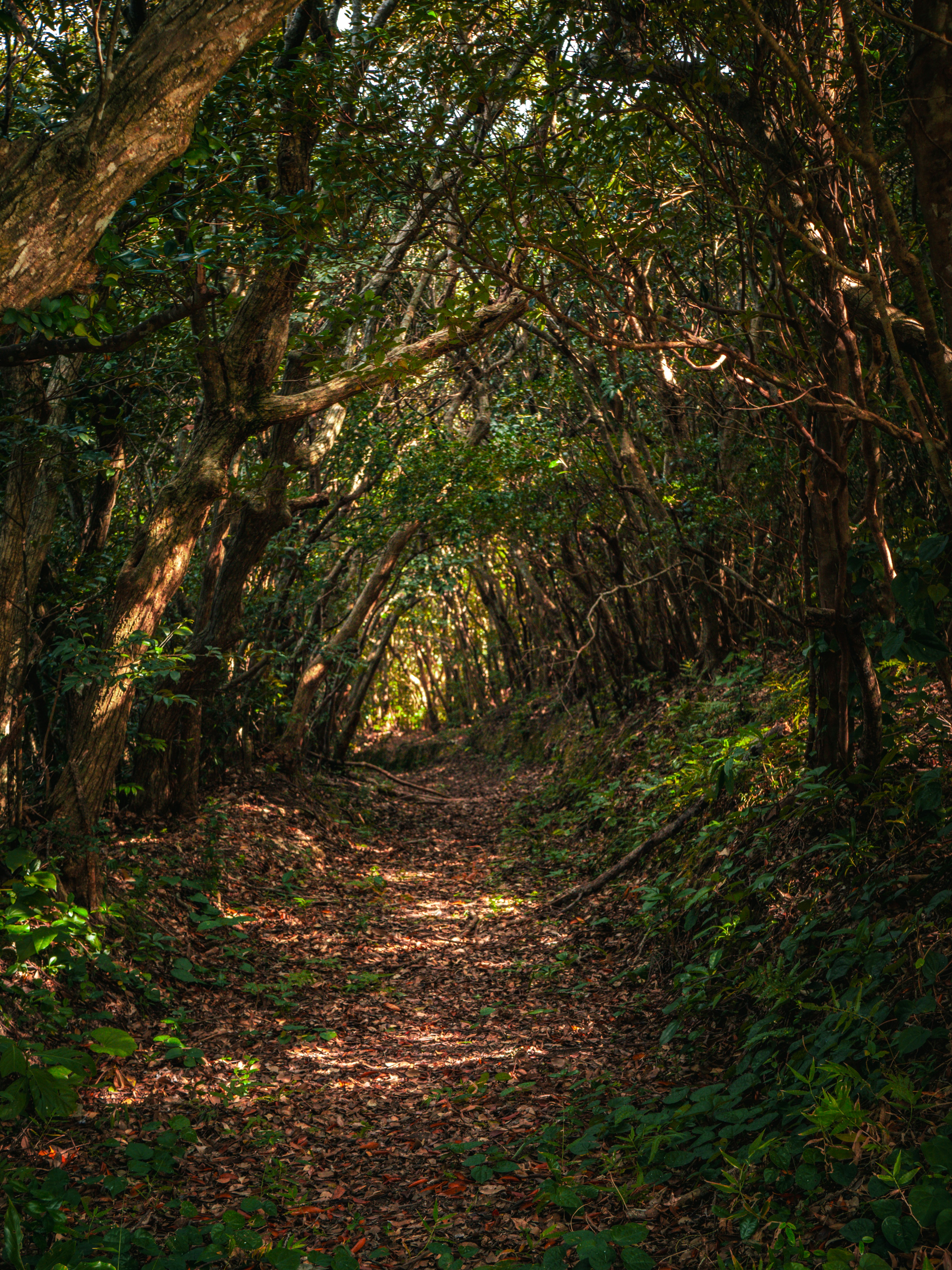 Photo by poli_graphy