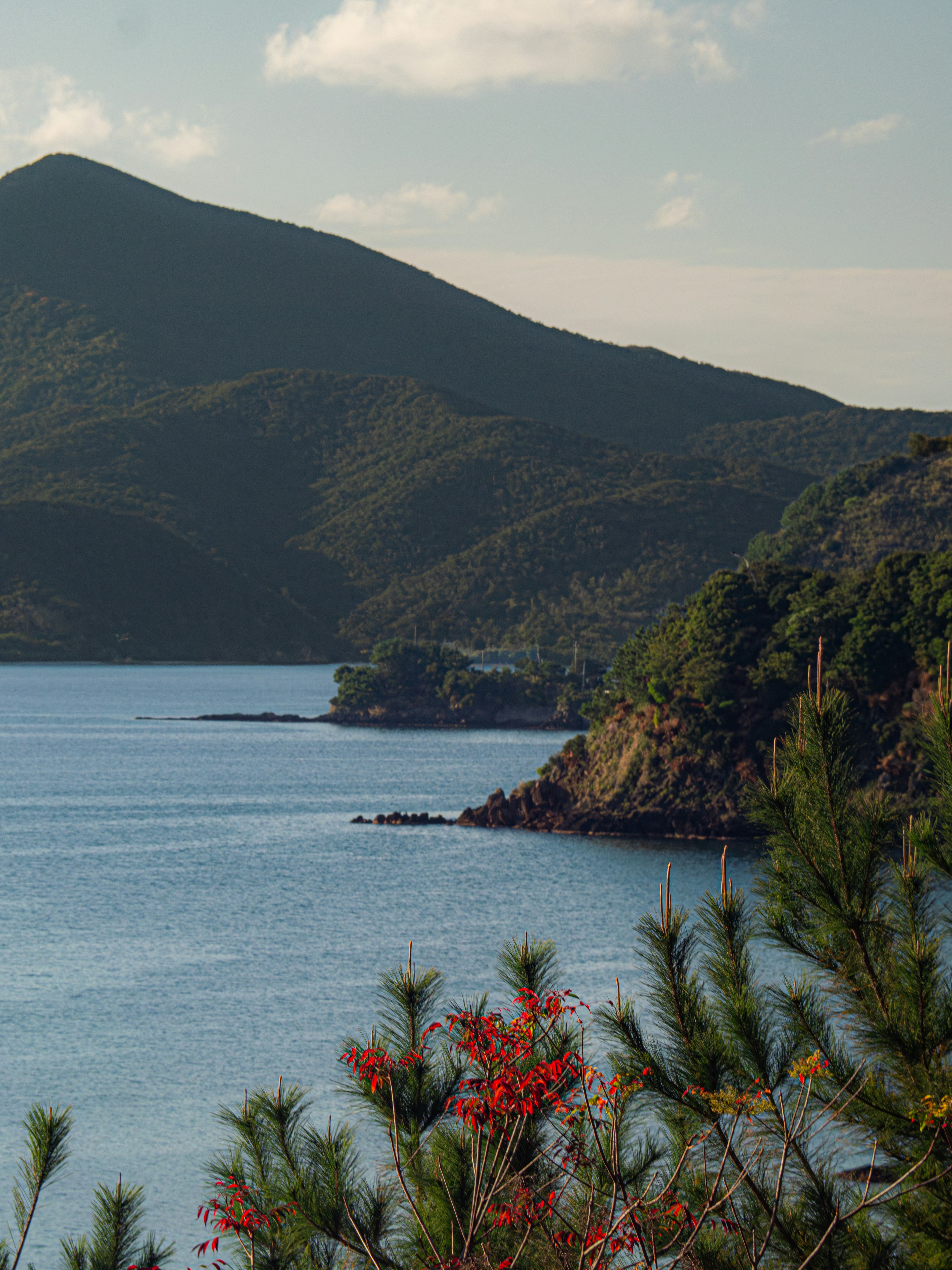 Photo by poli_graphy