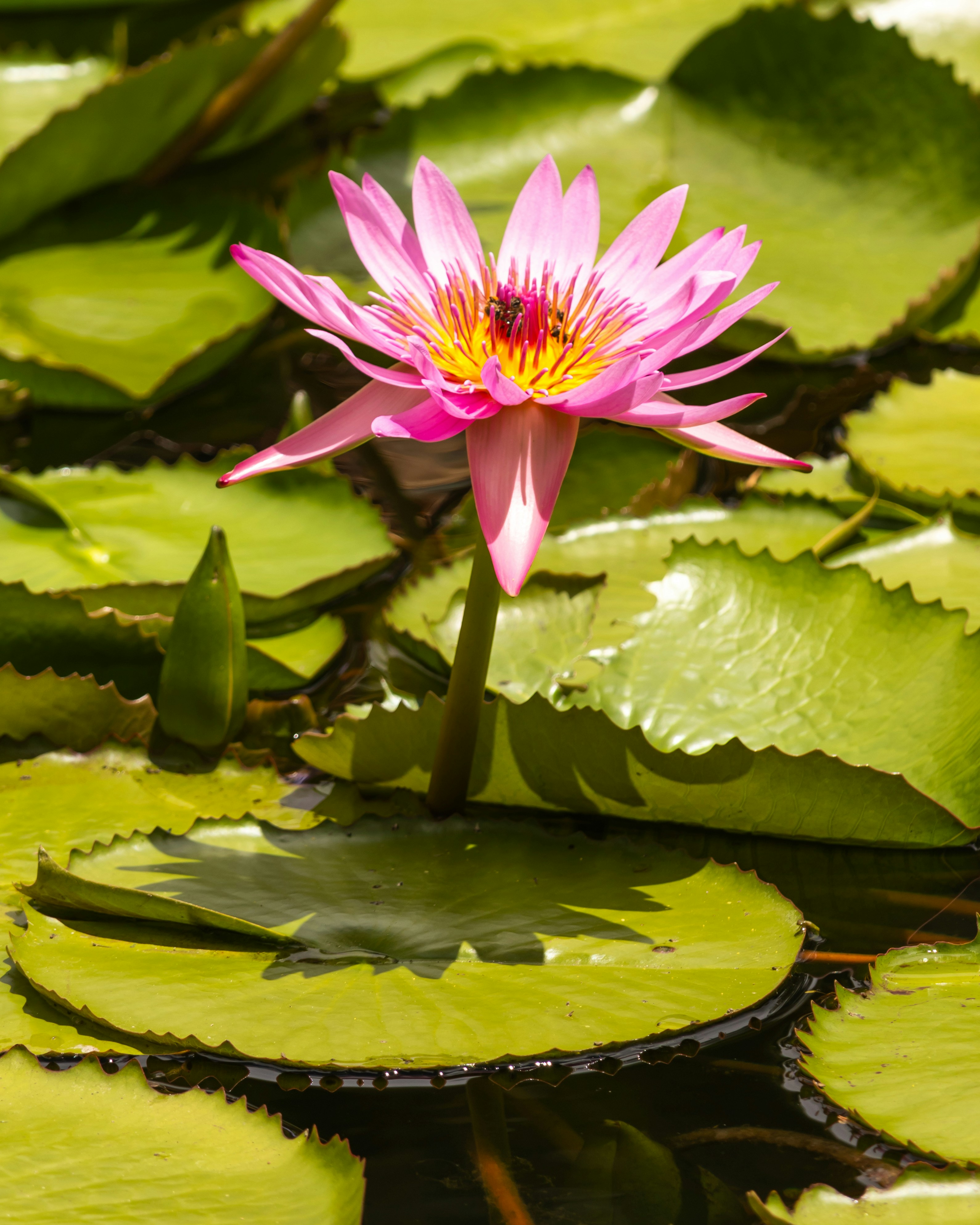 Photo by juliet_delta_aviation