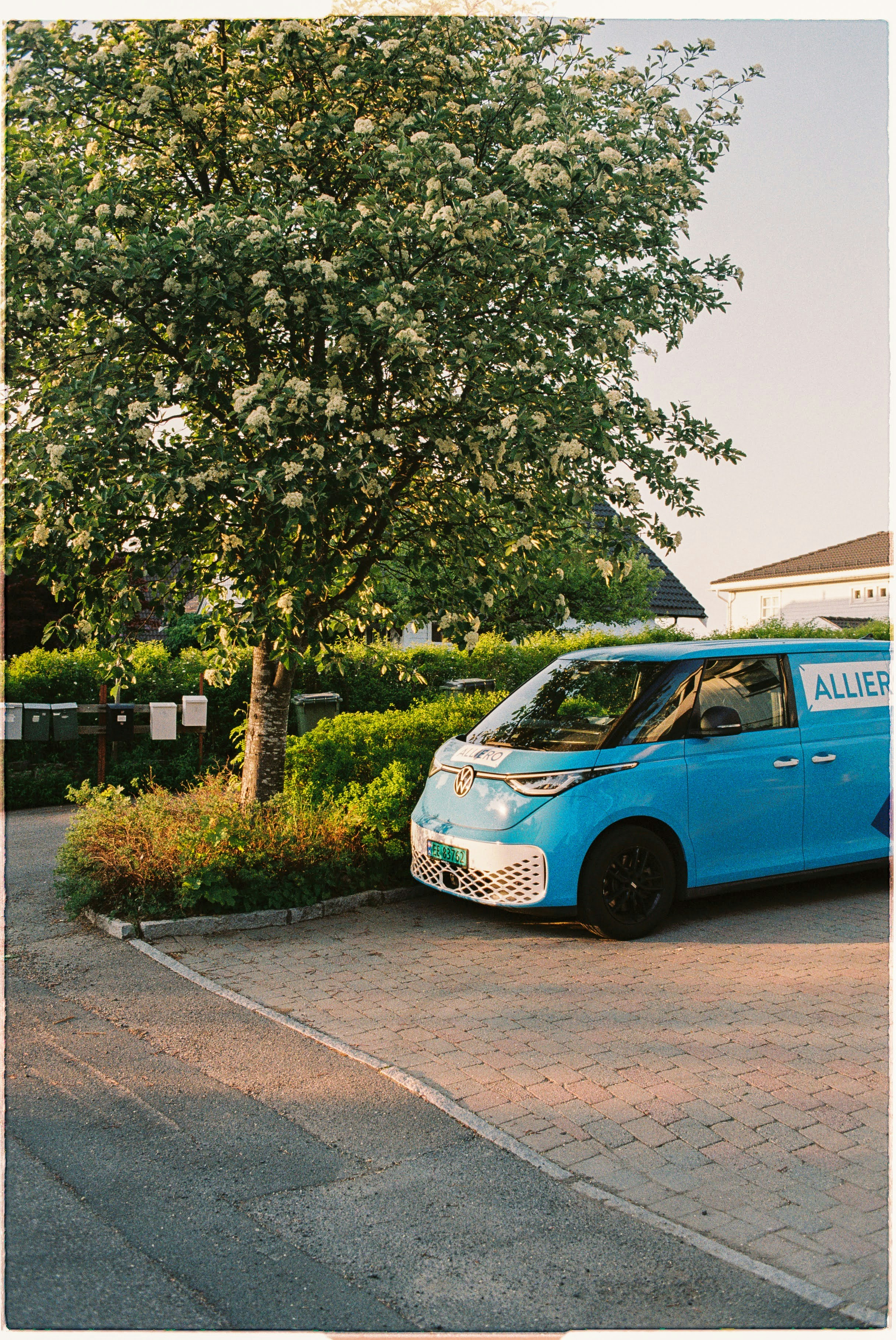A small blue van parked next to a tree