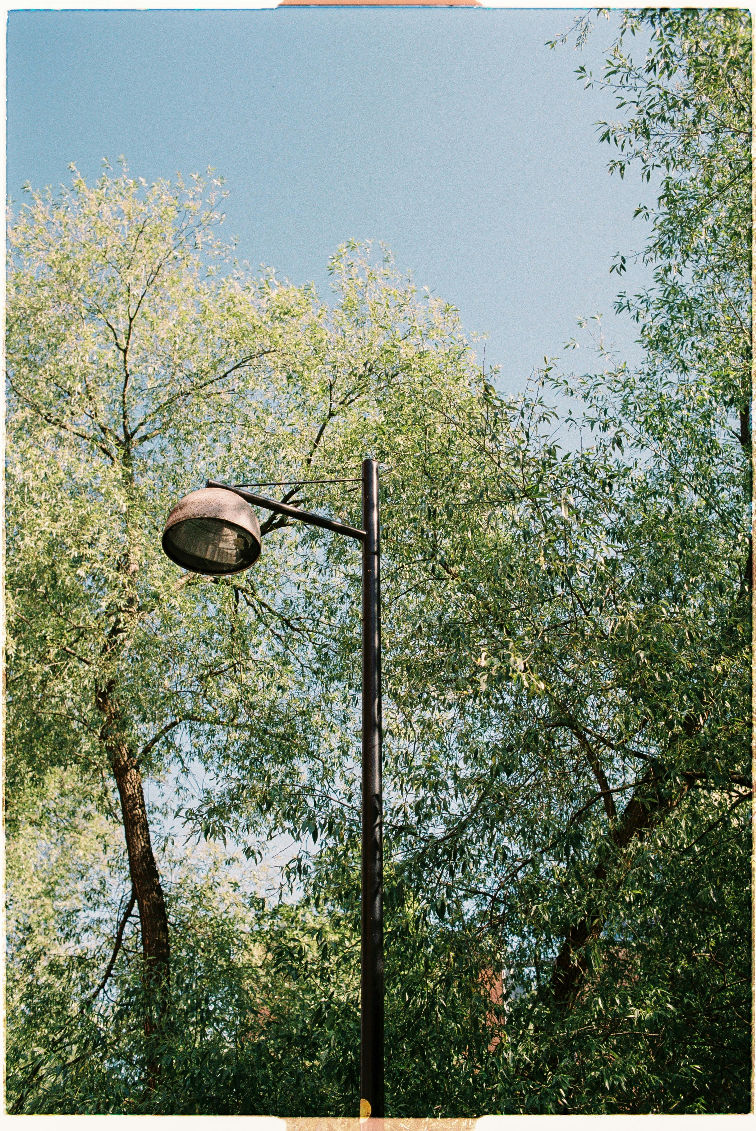 Photo by emil_karlsen