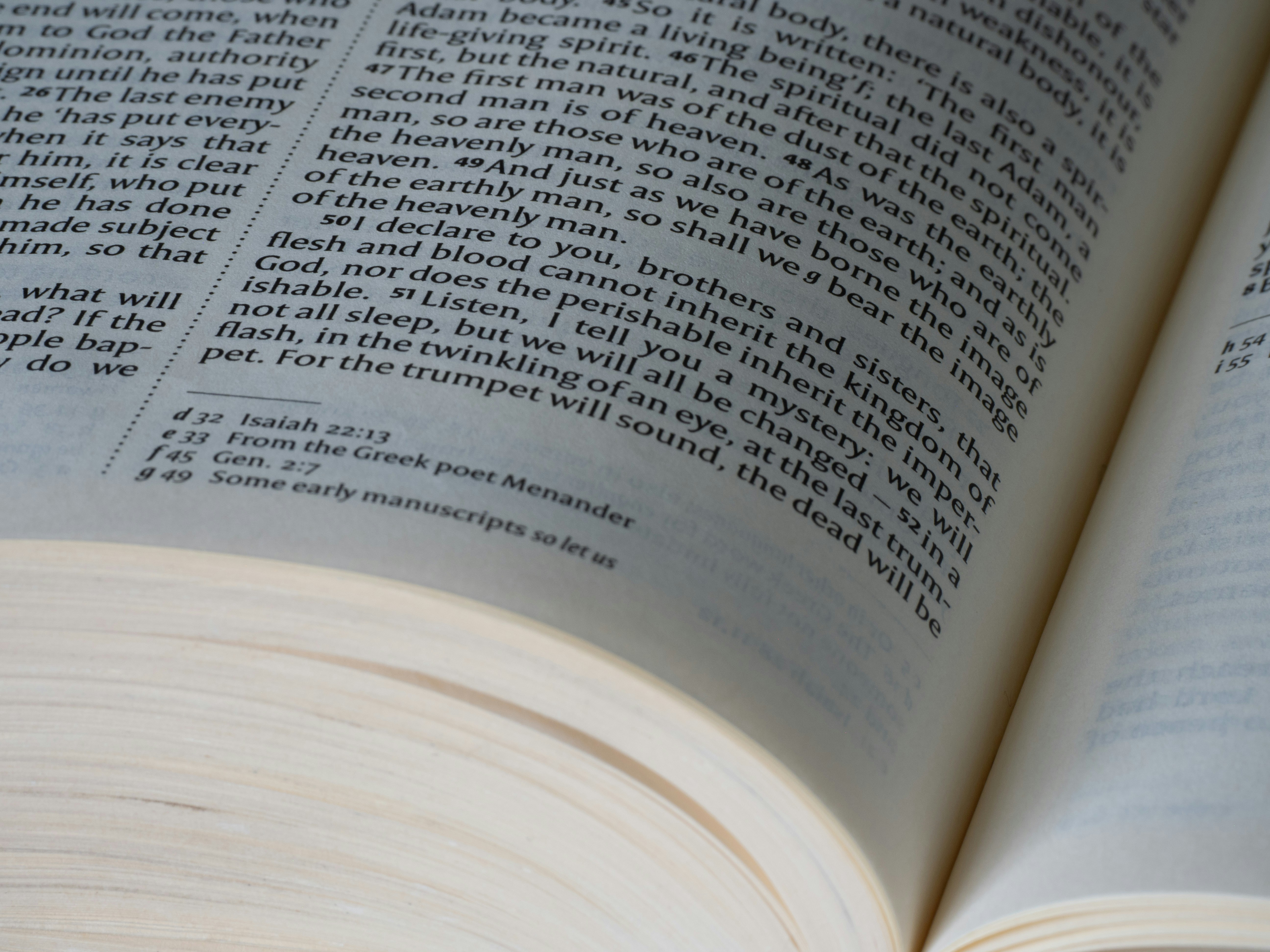 Photo by brett_jordan