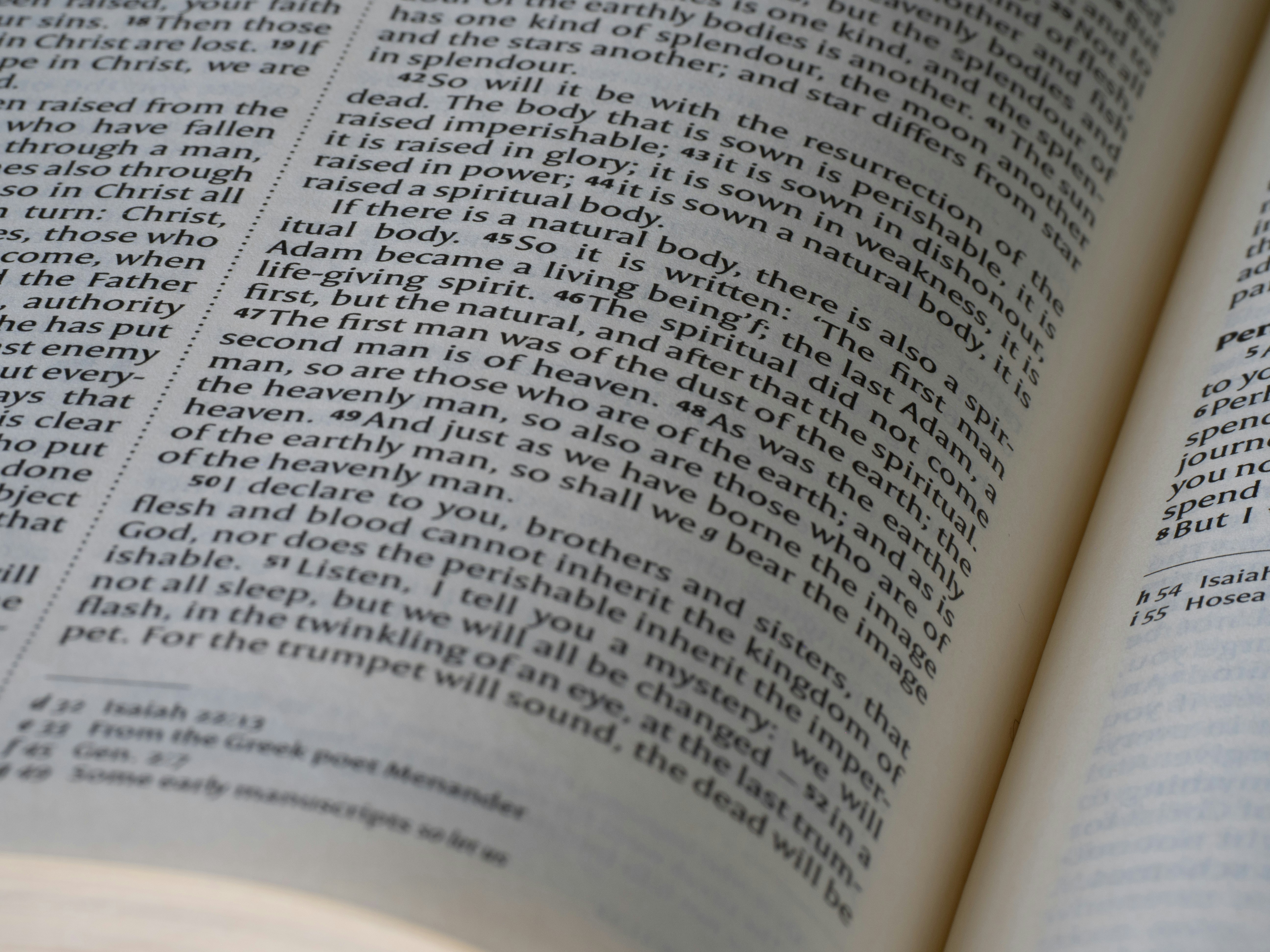 Photo by brett_jordan