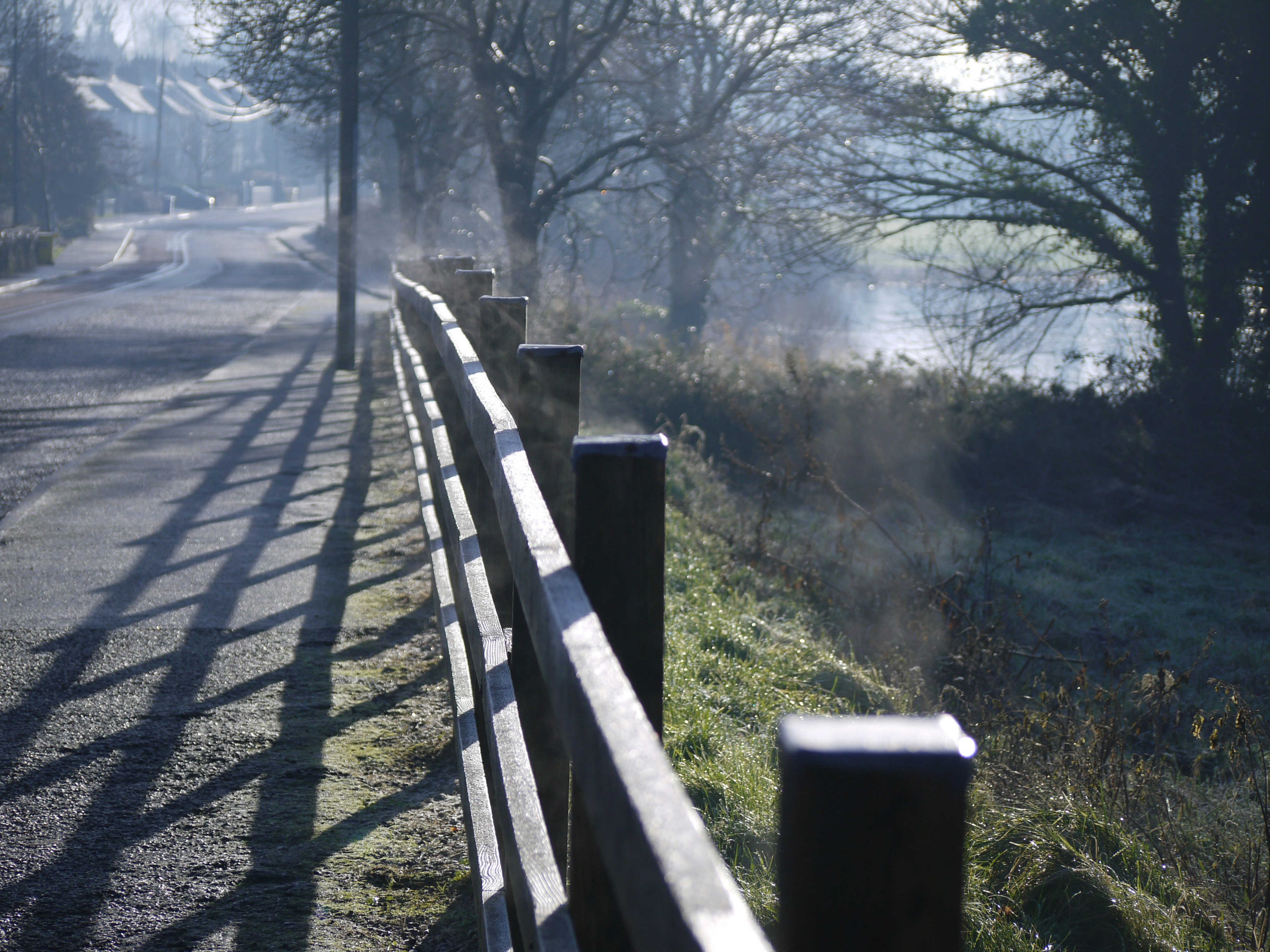 A foggy day on a country road