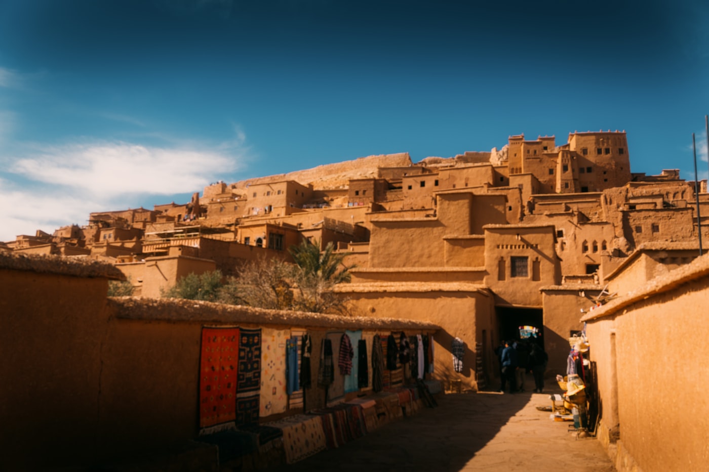 A traveler using a smartphone against a backdrop of Niger's desert landscape