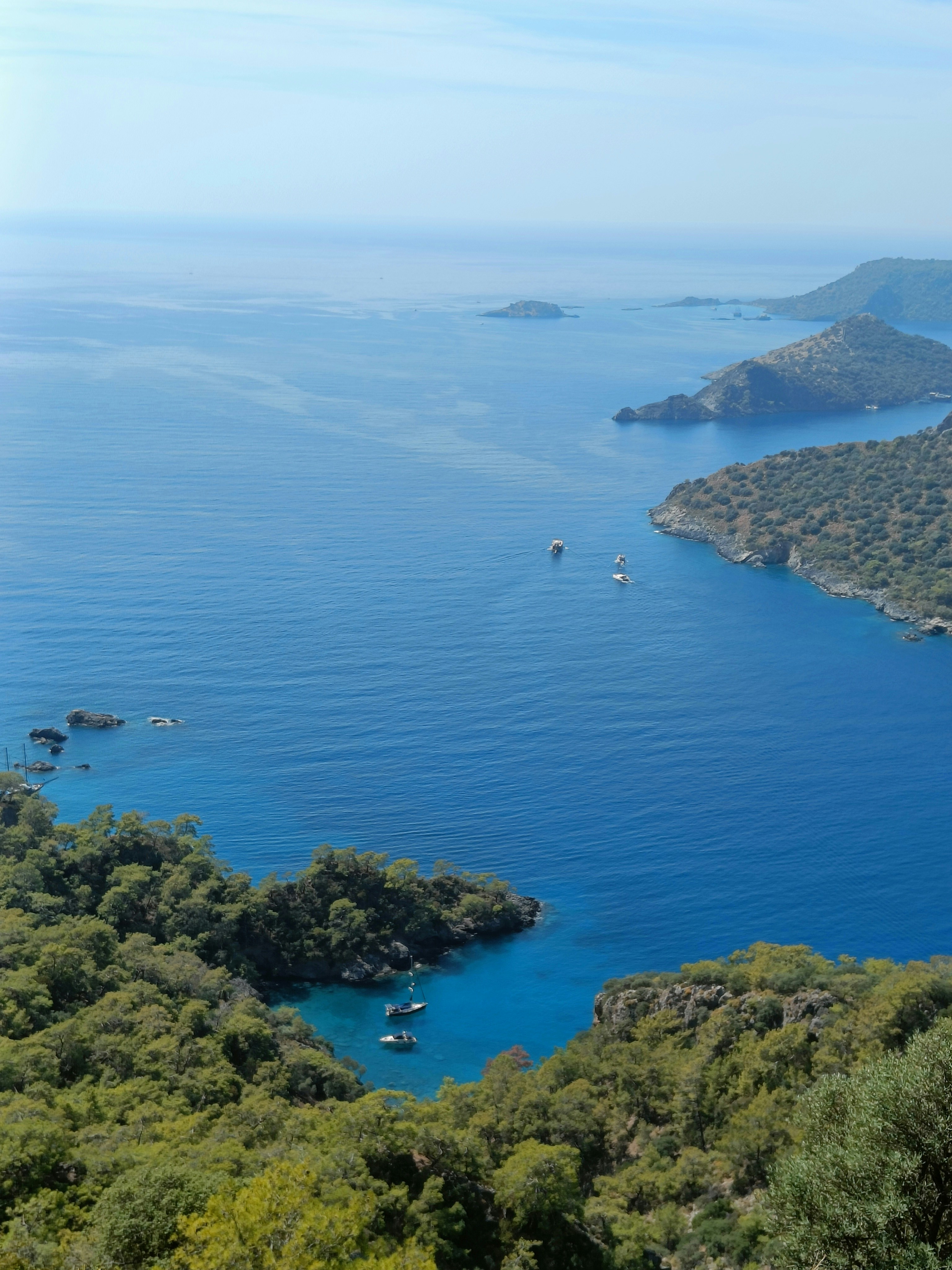 Photo by avradantsev