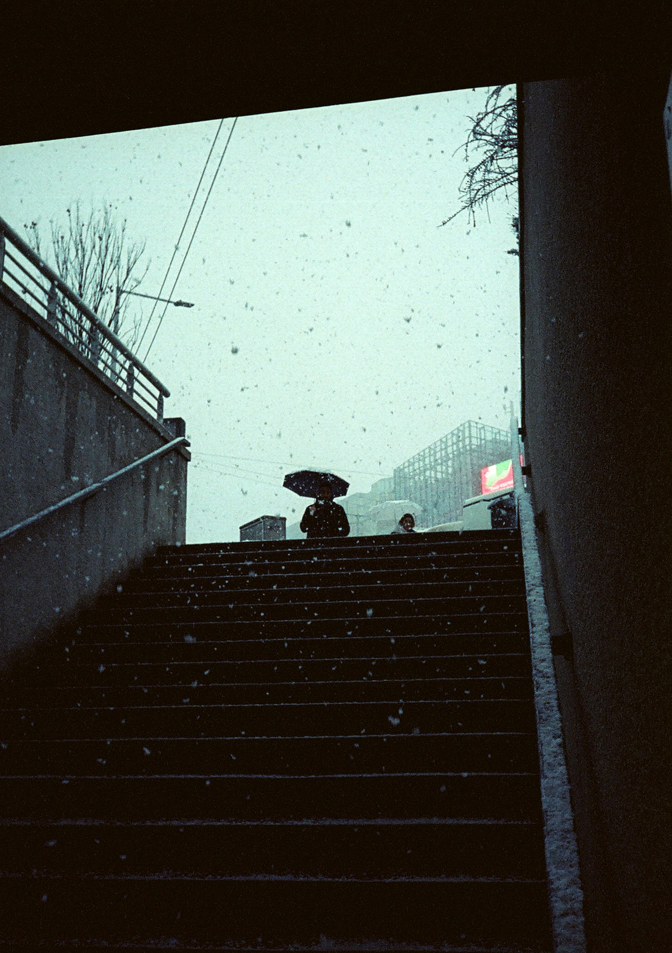 Photo by stachmann