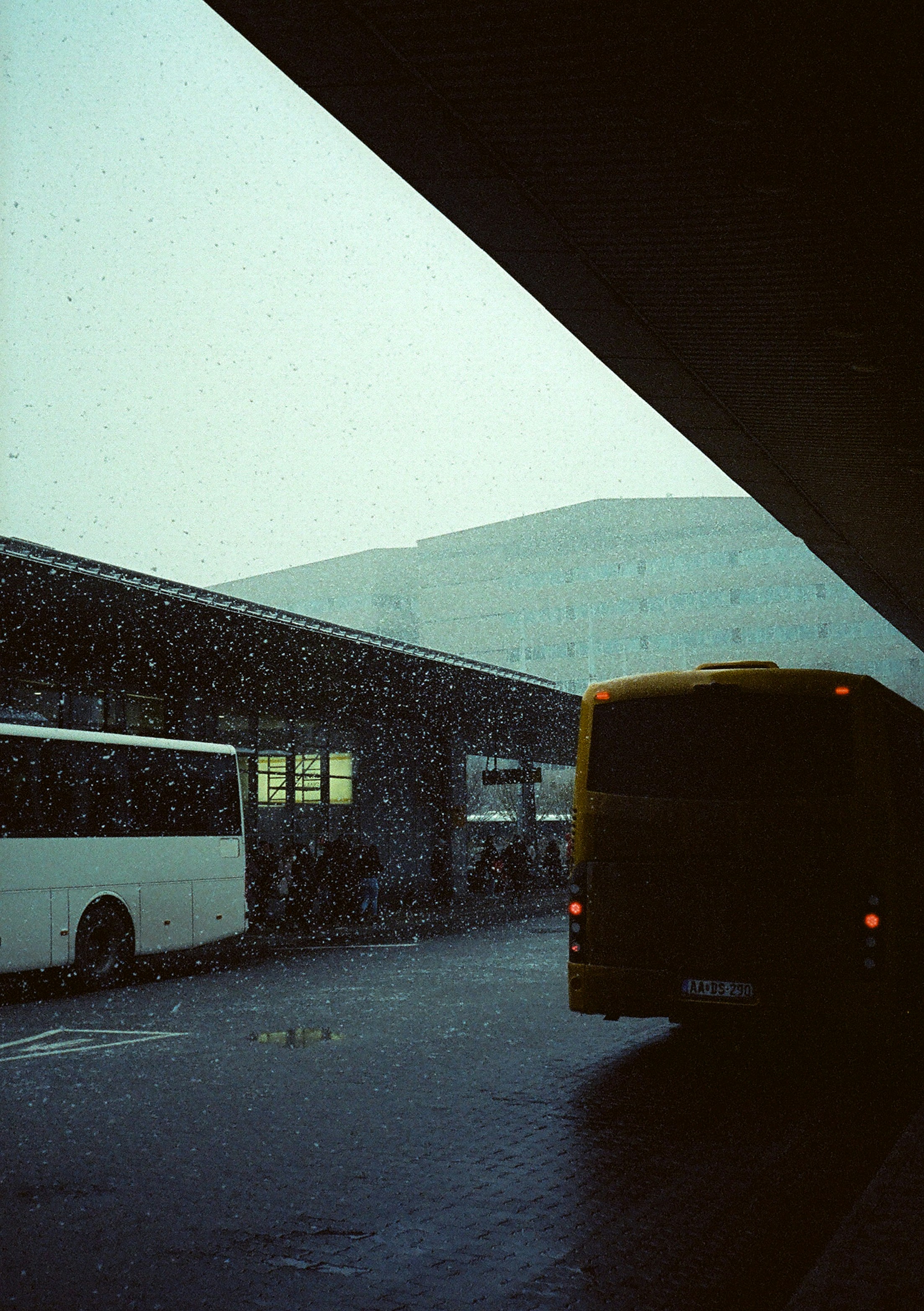 Photo by stachmann