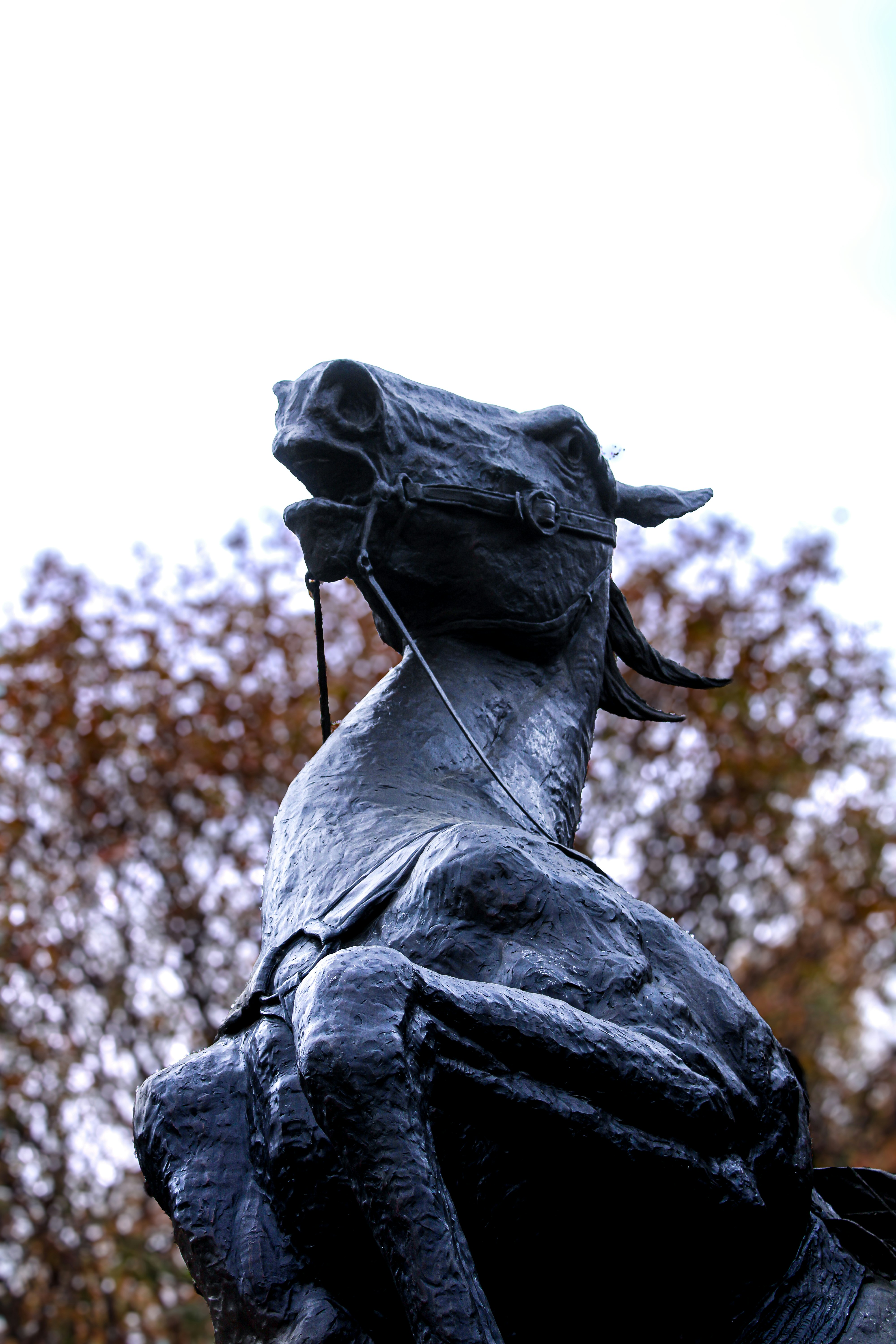 Die Statue einer Person, die auf einem Pferd reitet