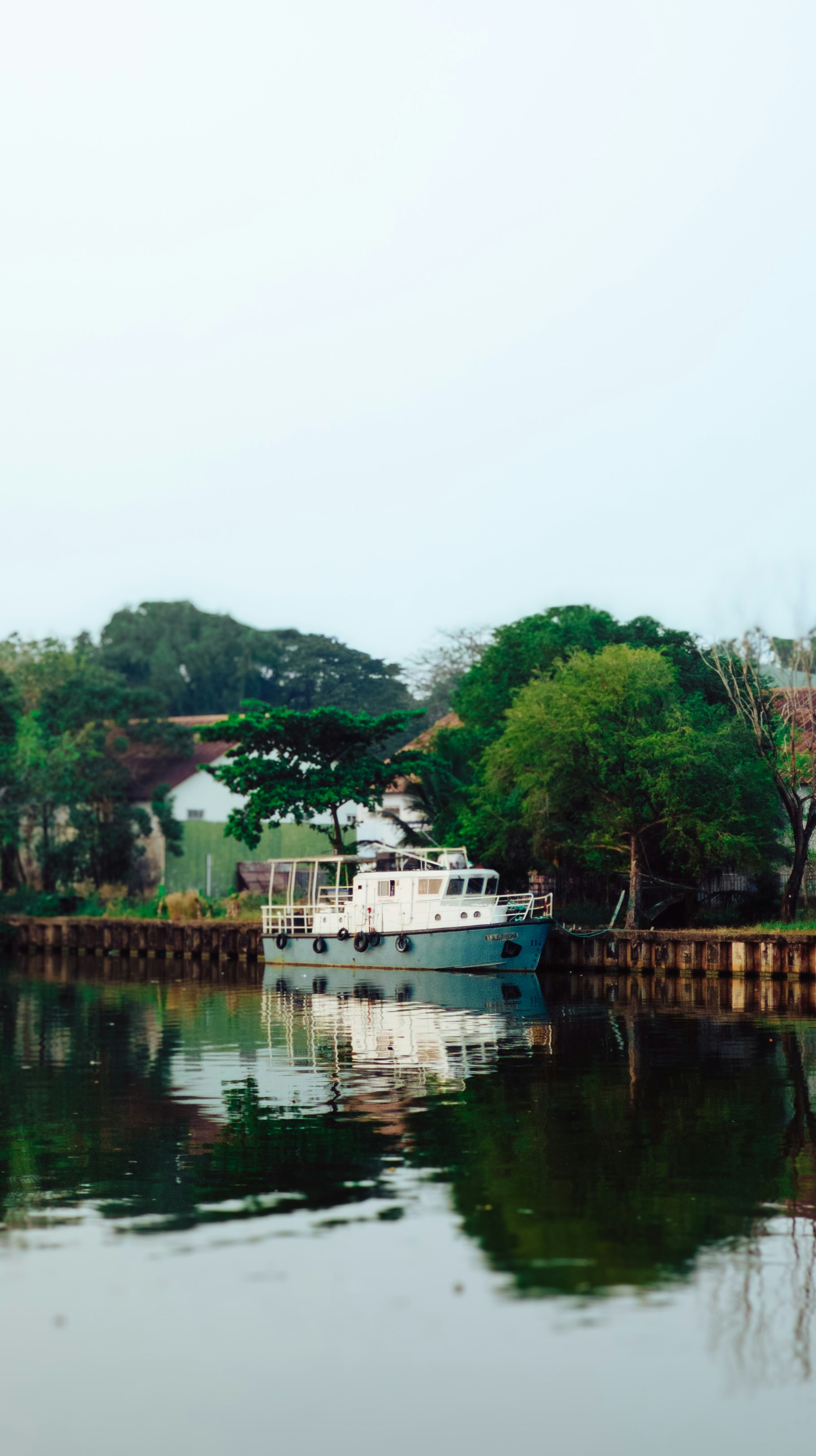 Photo by pocketpixeldiary