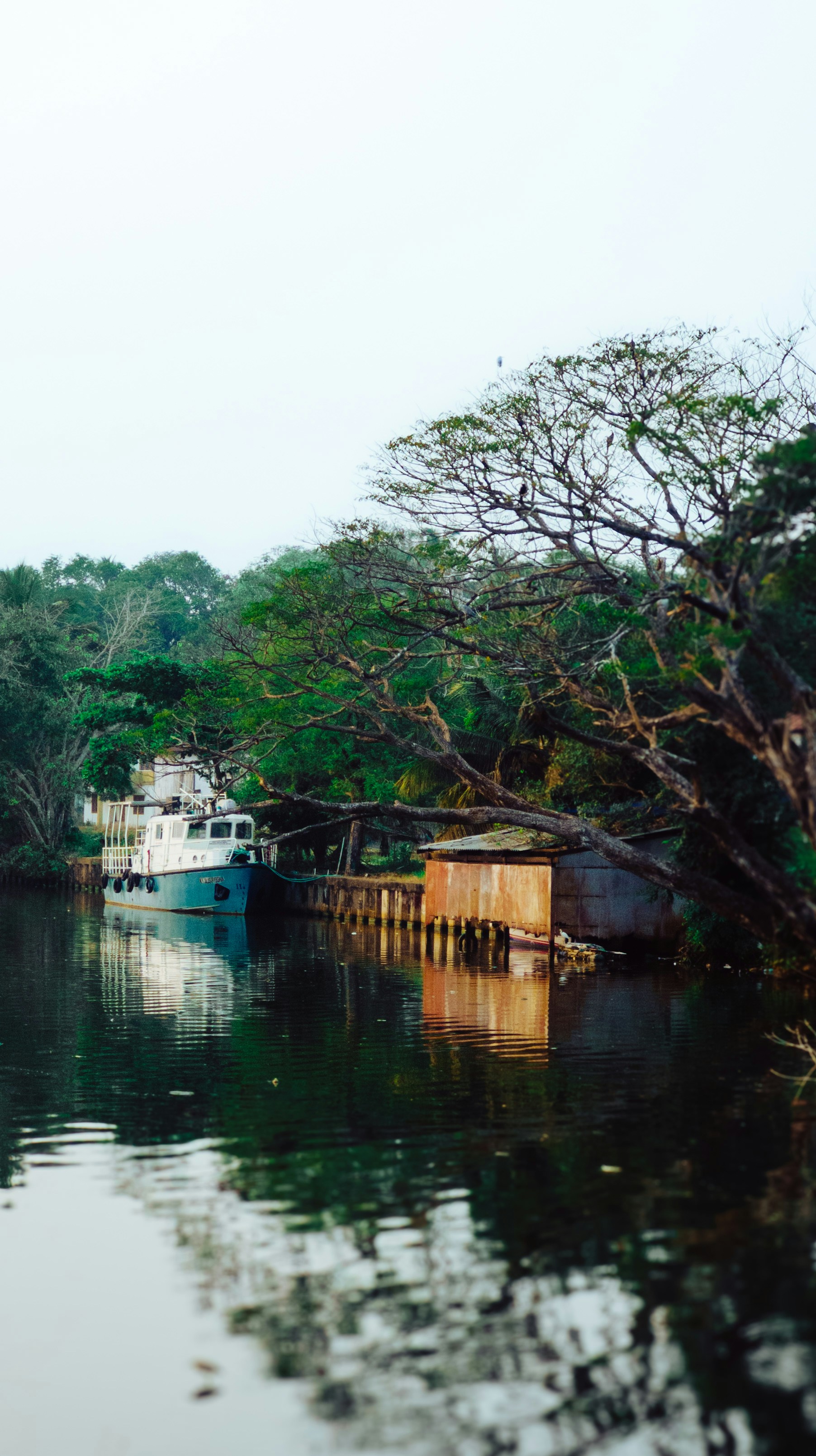 Photo by pocketpixeldiary