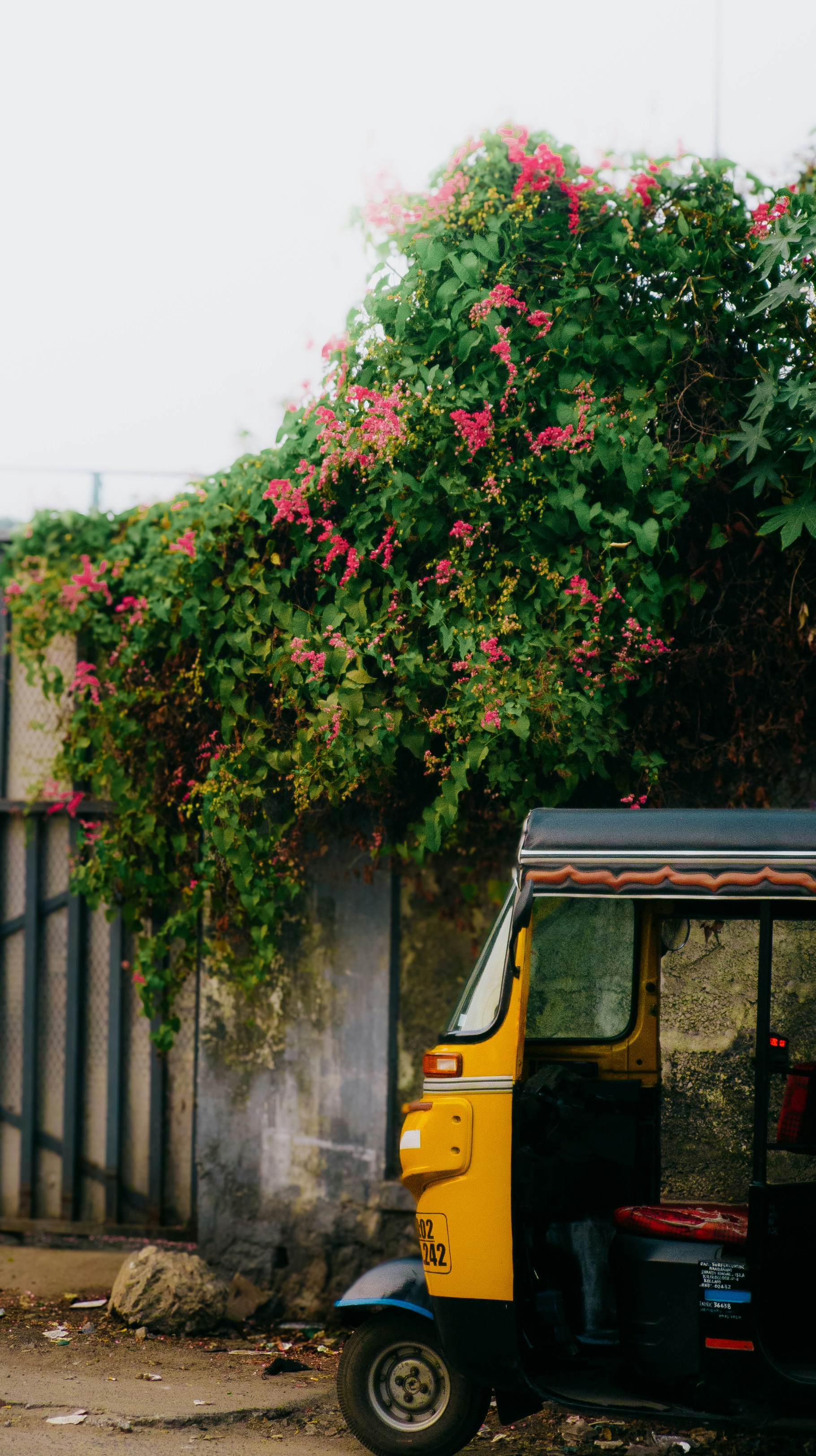 Photo by pocketpixeldiary