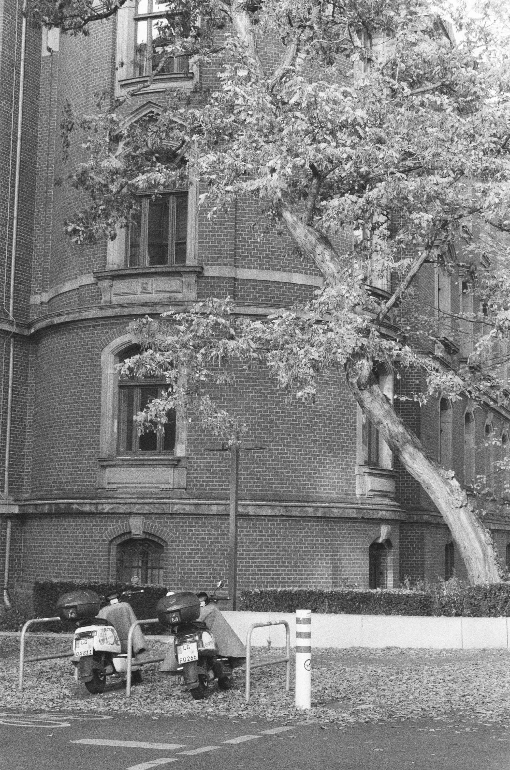 Photo by nathanieliia