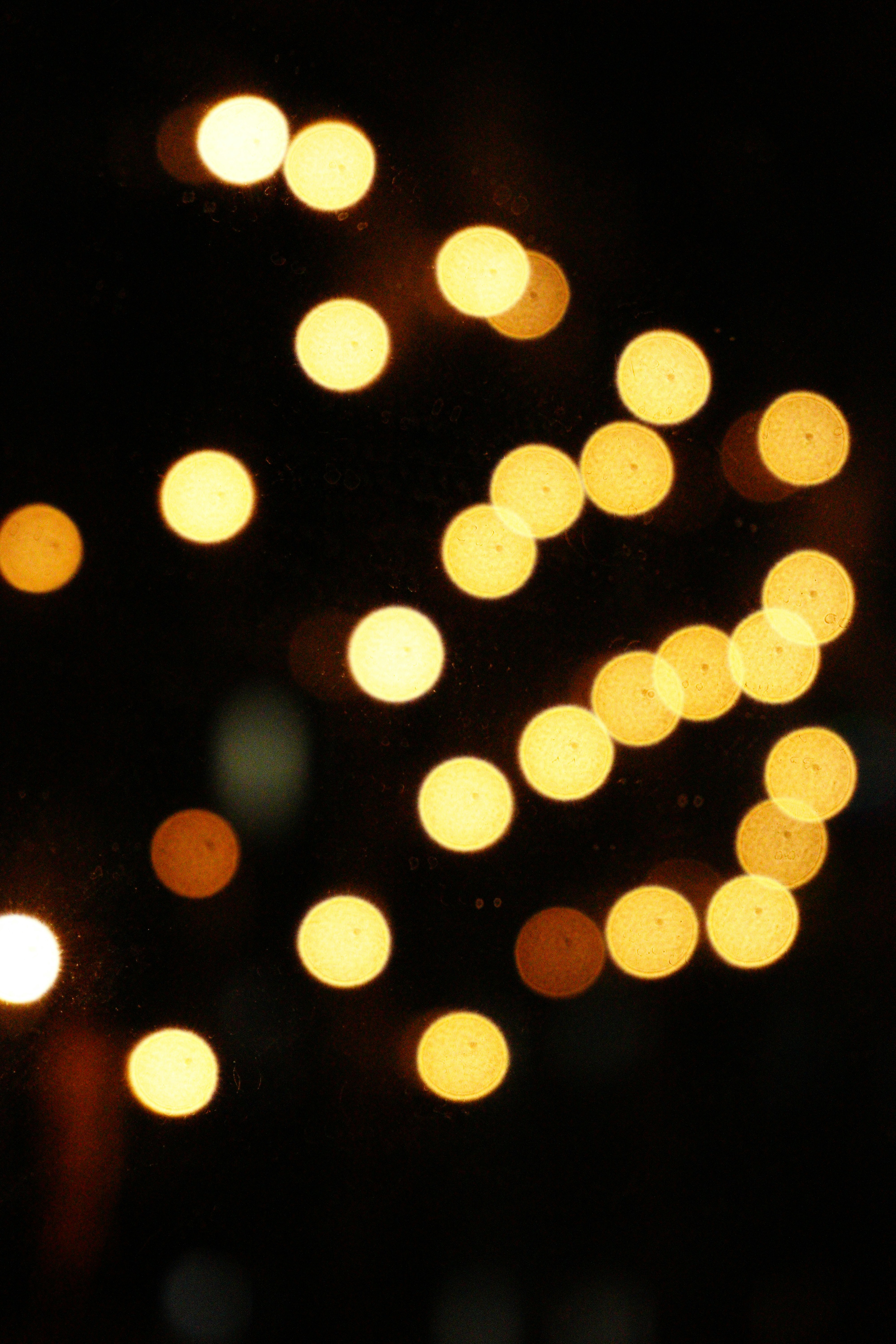 Photo by _muser_photography