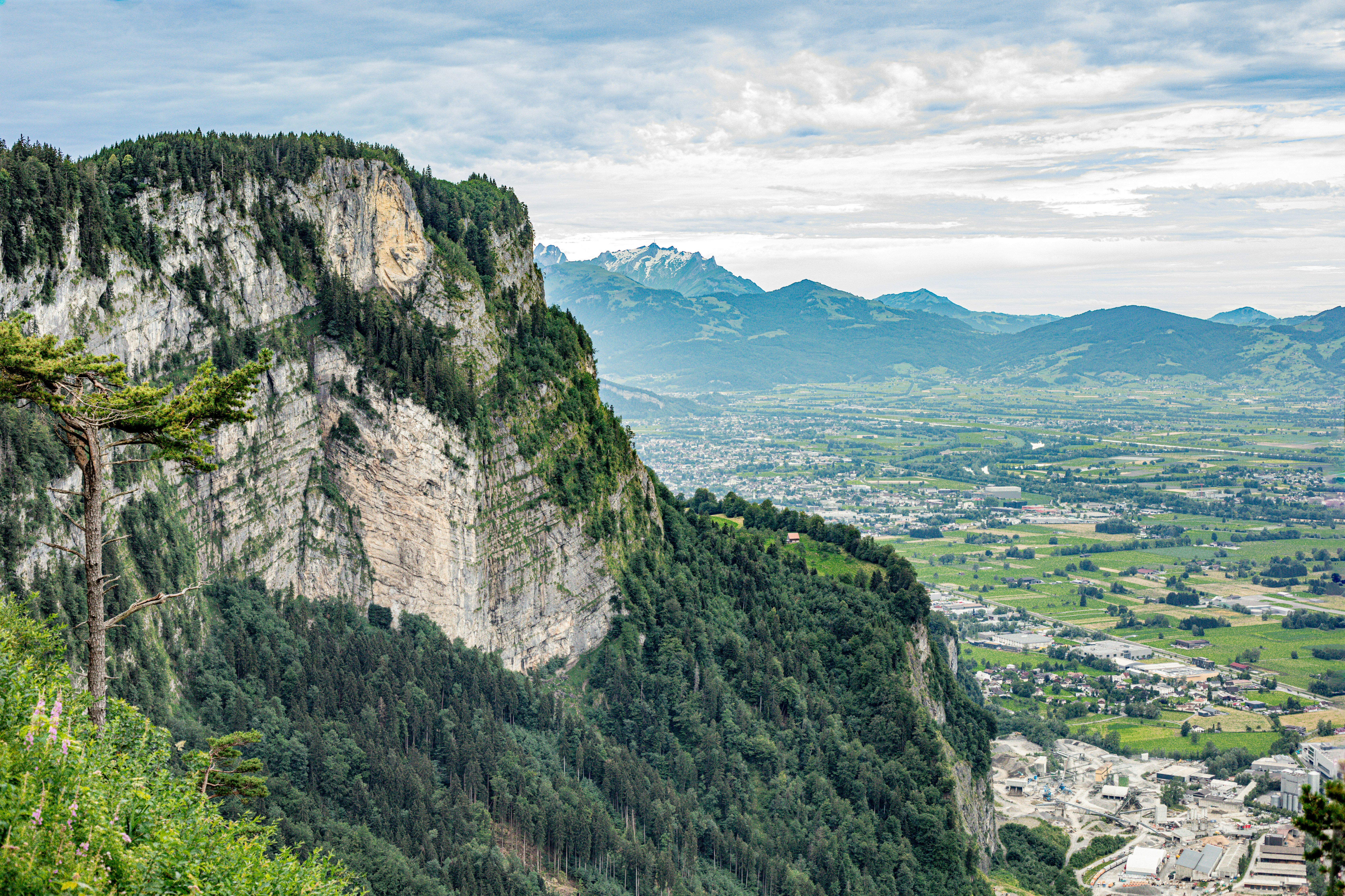 Una vista panorámica de un valle con montañas al fondo
