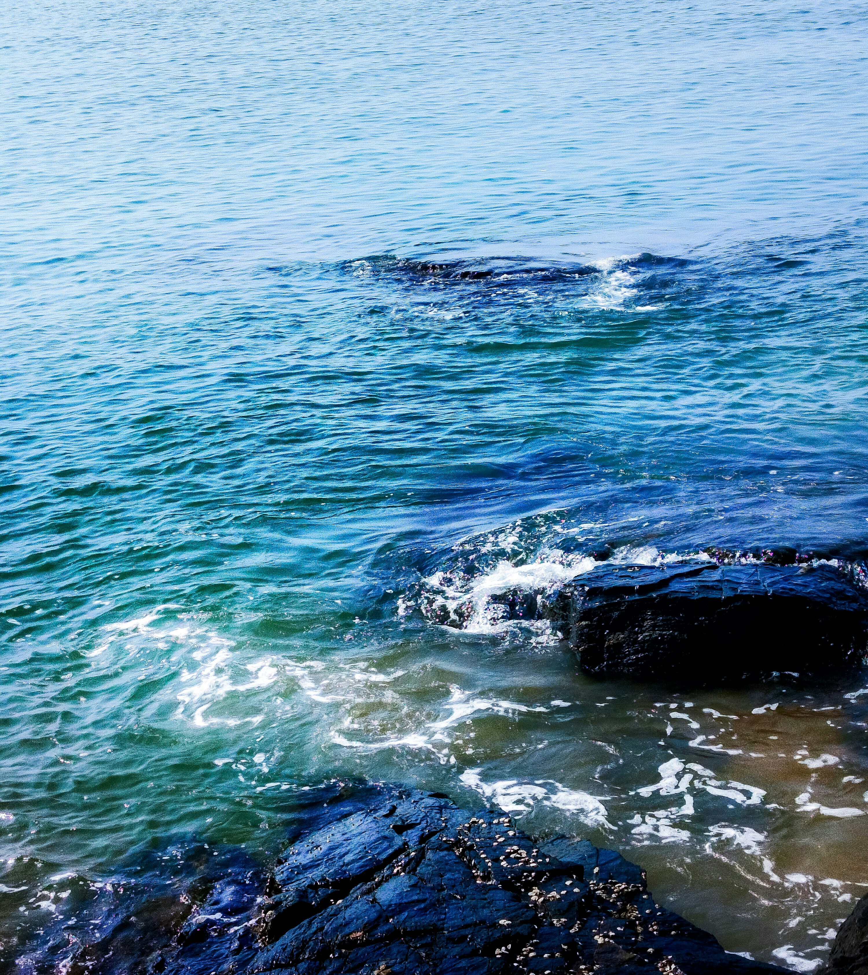 Photo by _muser_photography