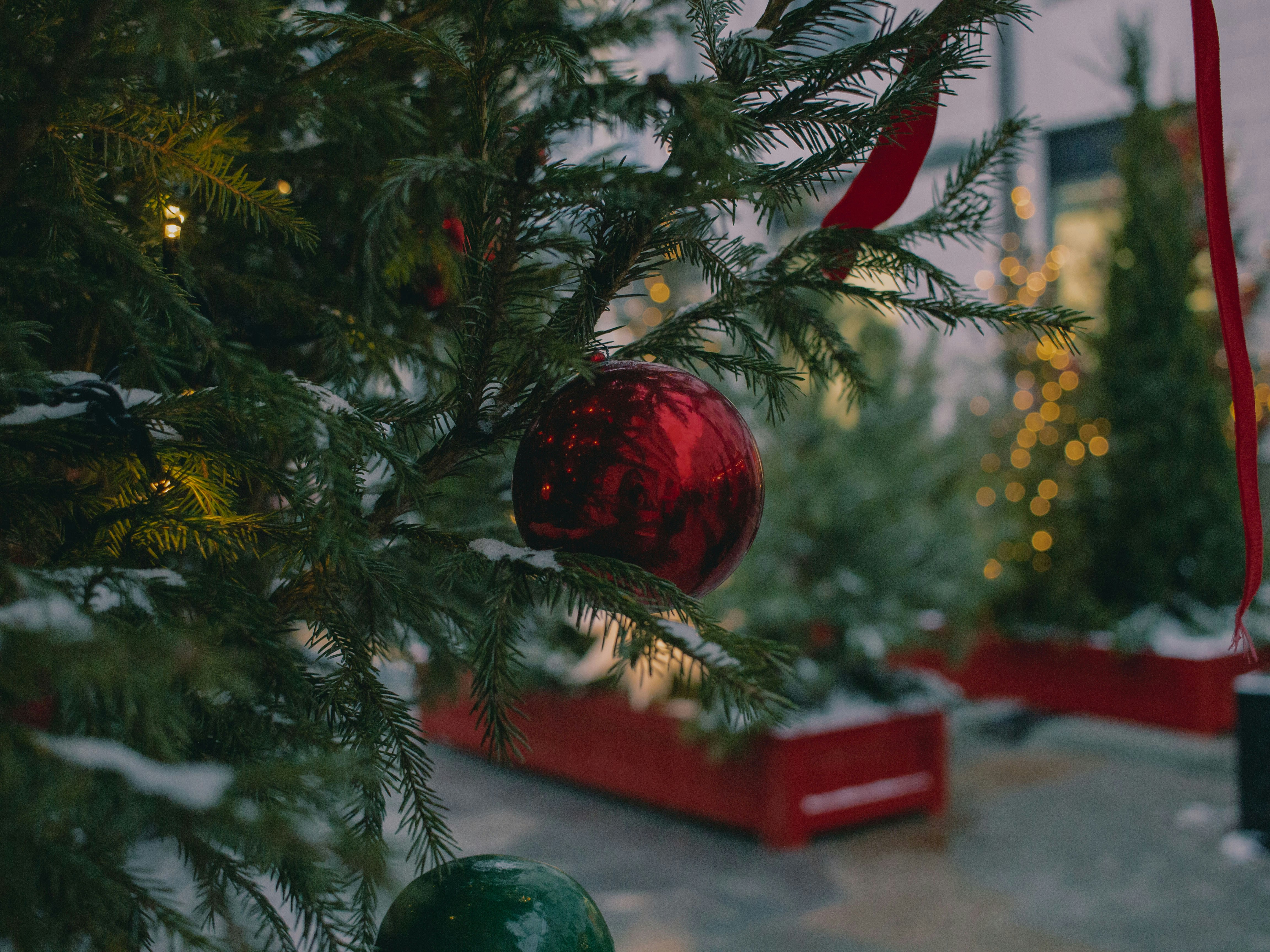 Photo by annie_smurova