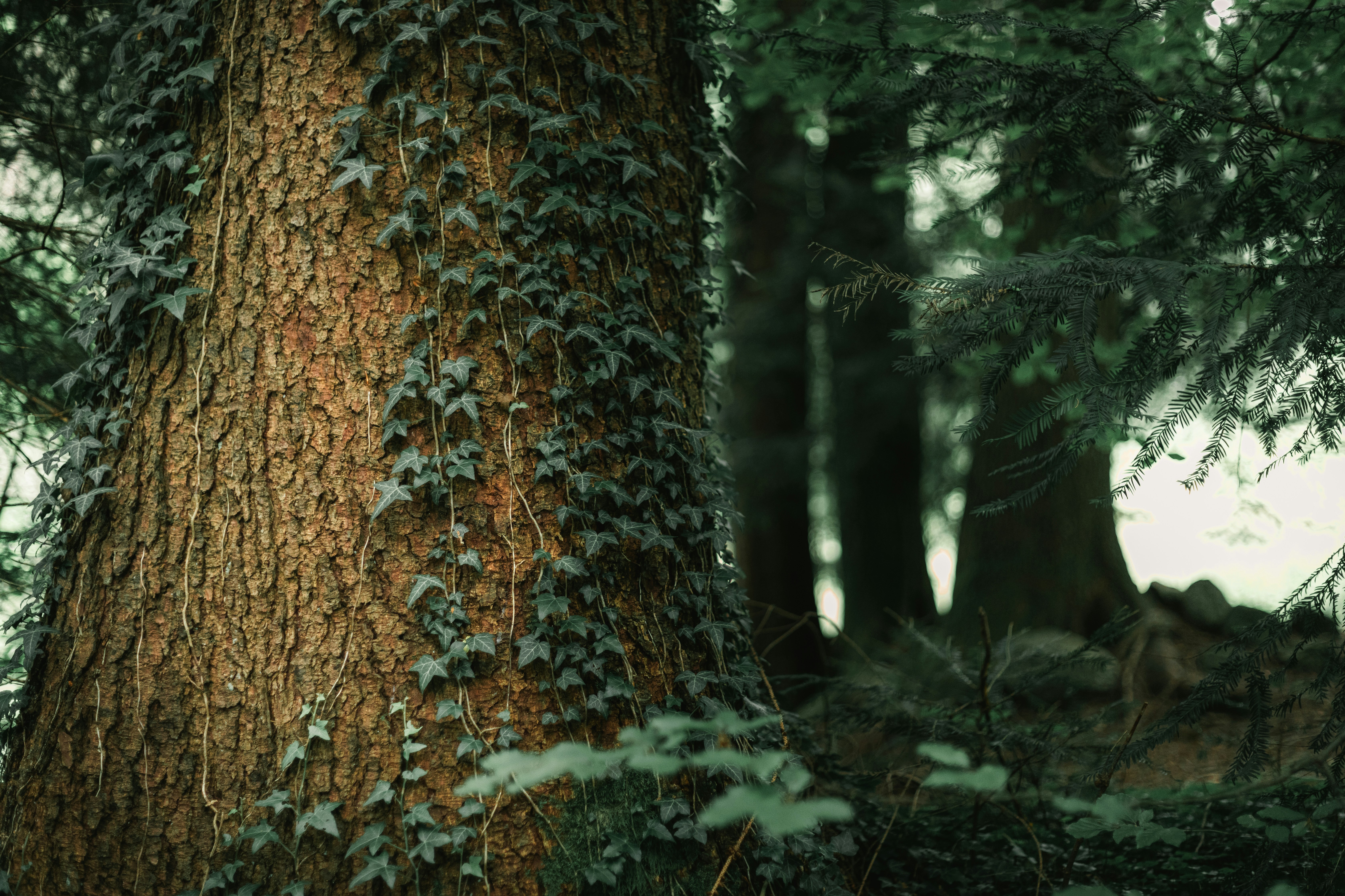 Photo by gabriel_meinert