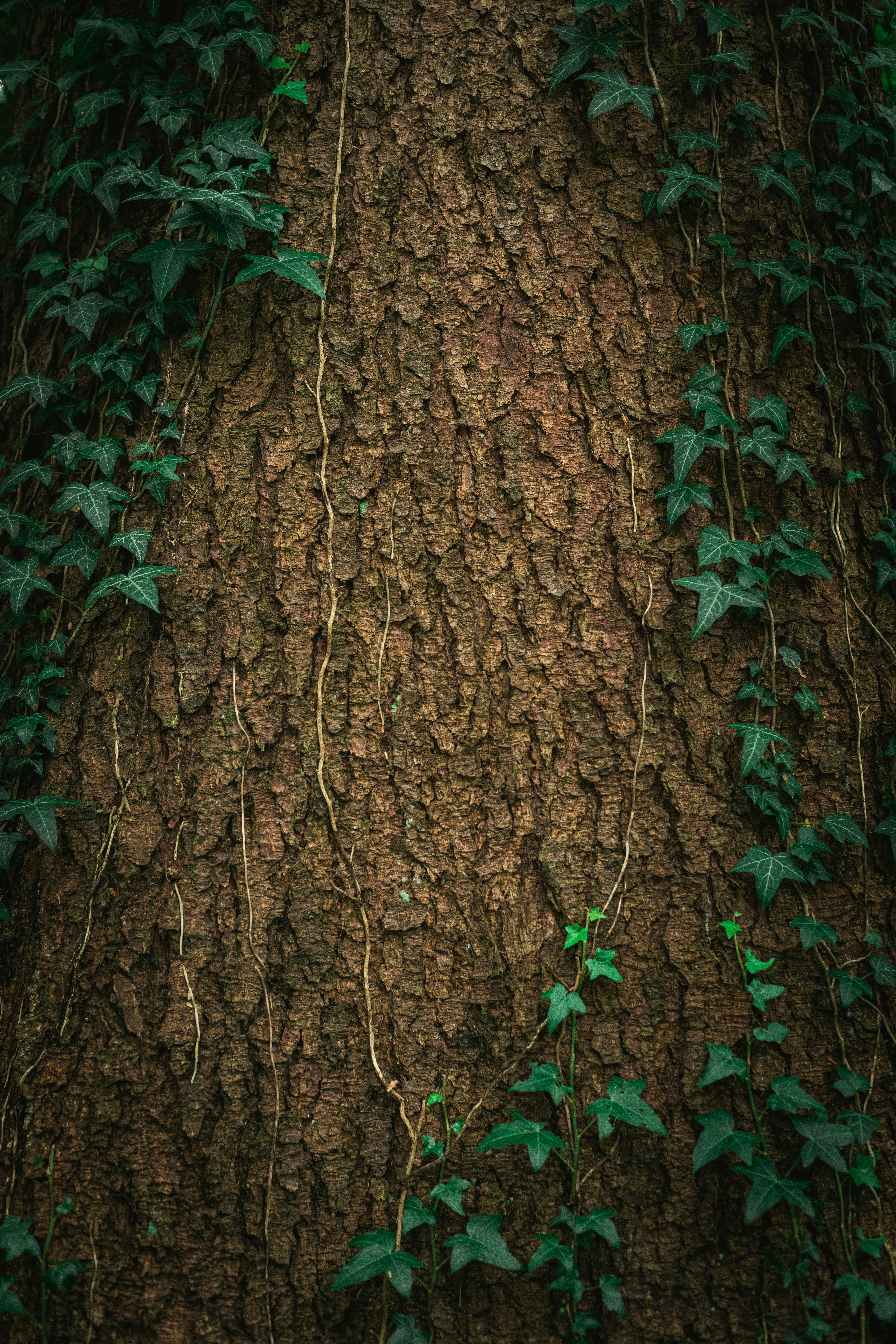 Photo by gabriel_meinert