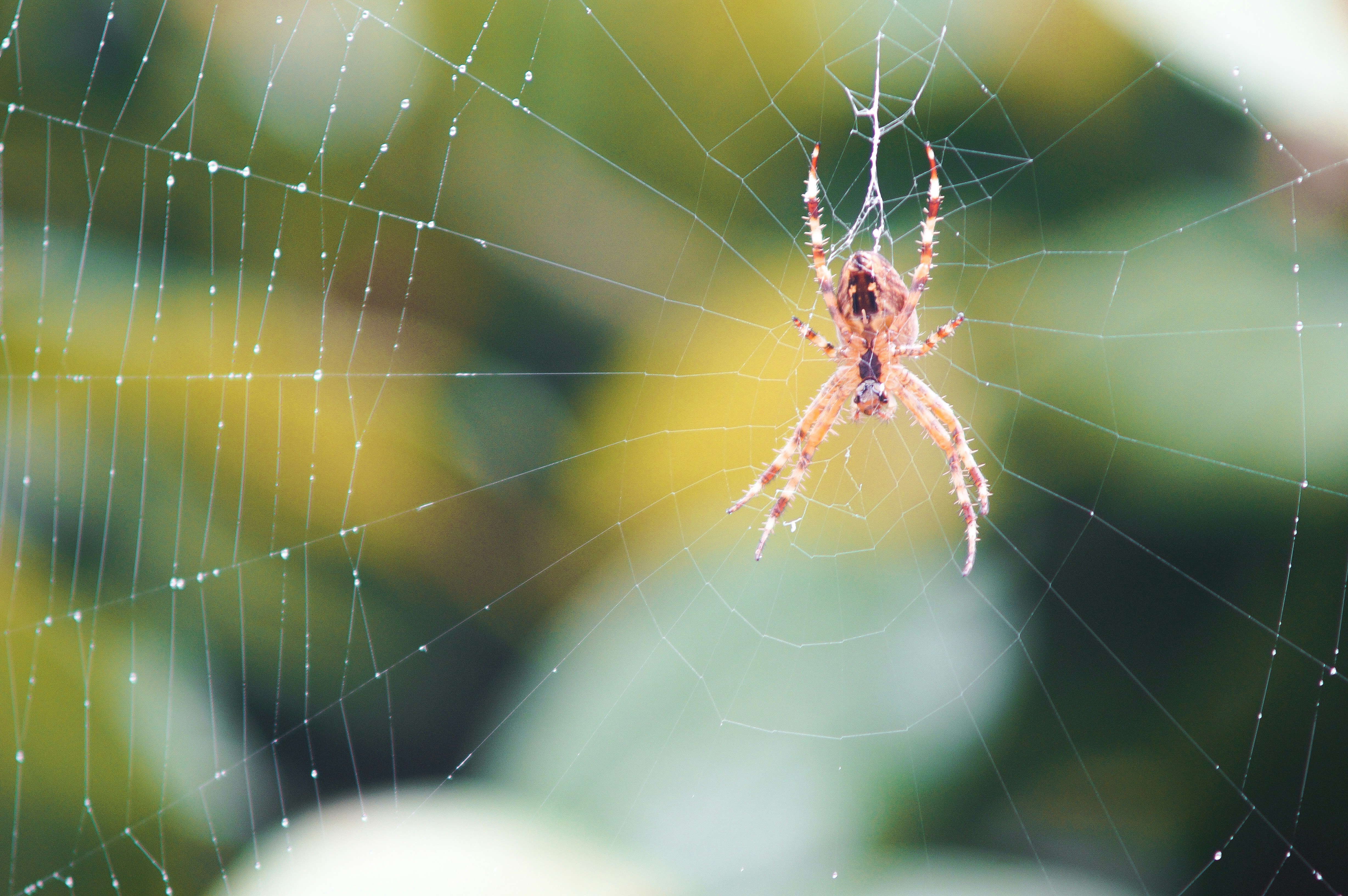 Photo by jodi_trailgirl