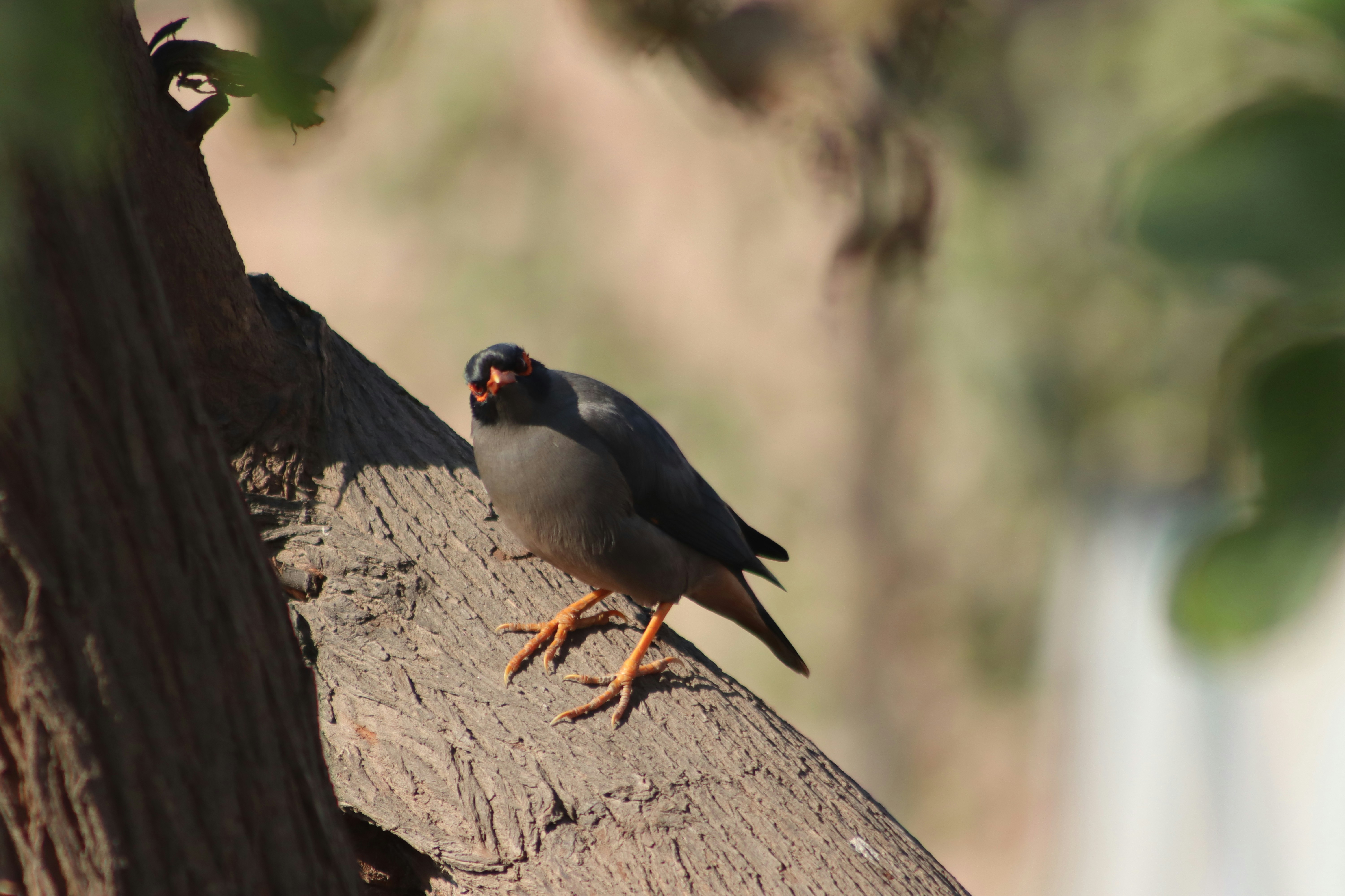 Photo by drphotographer152