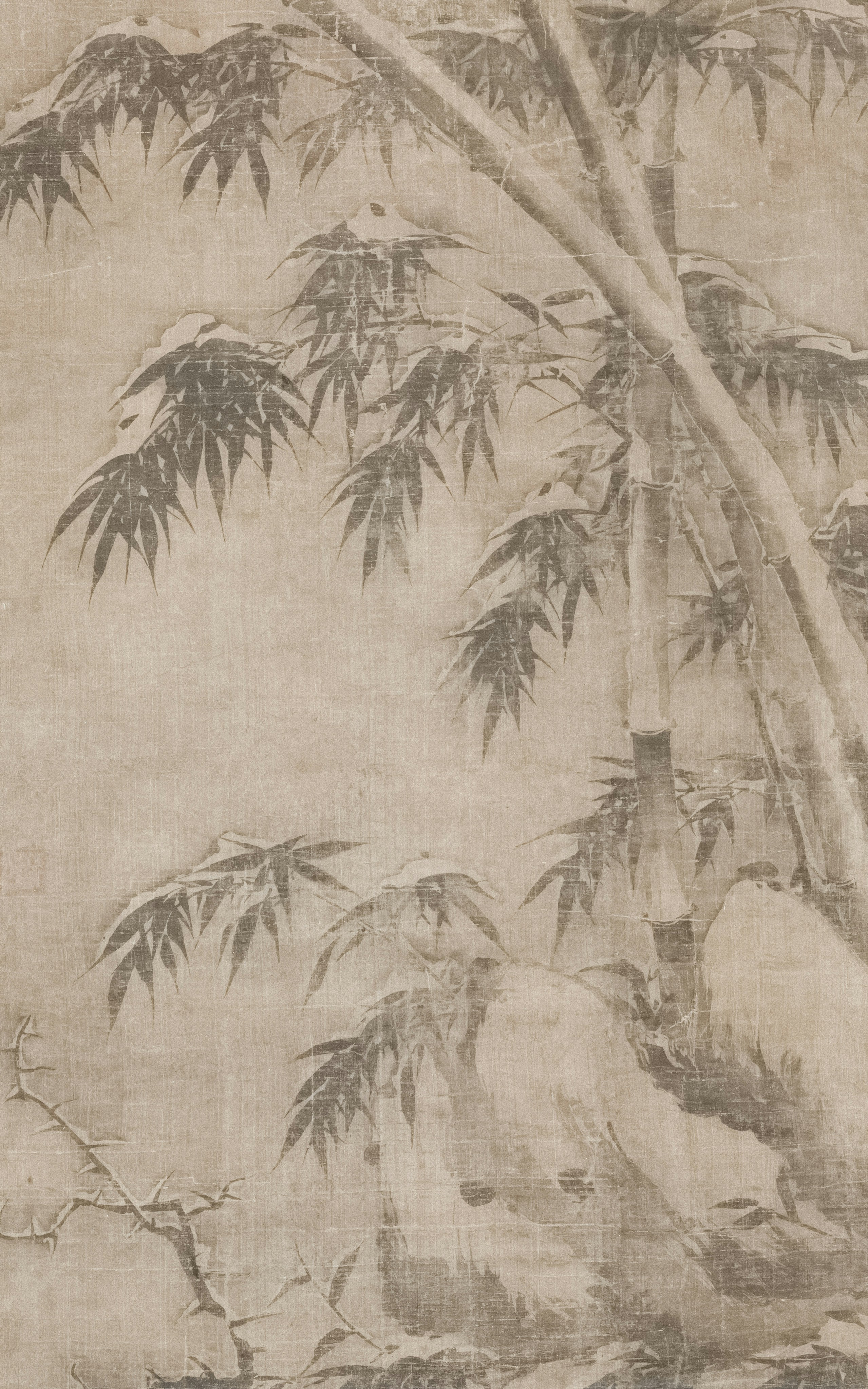 Photo by clevelandart