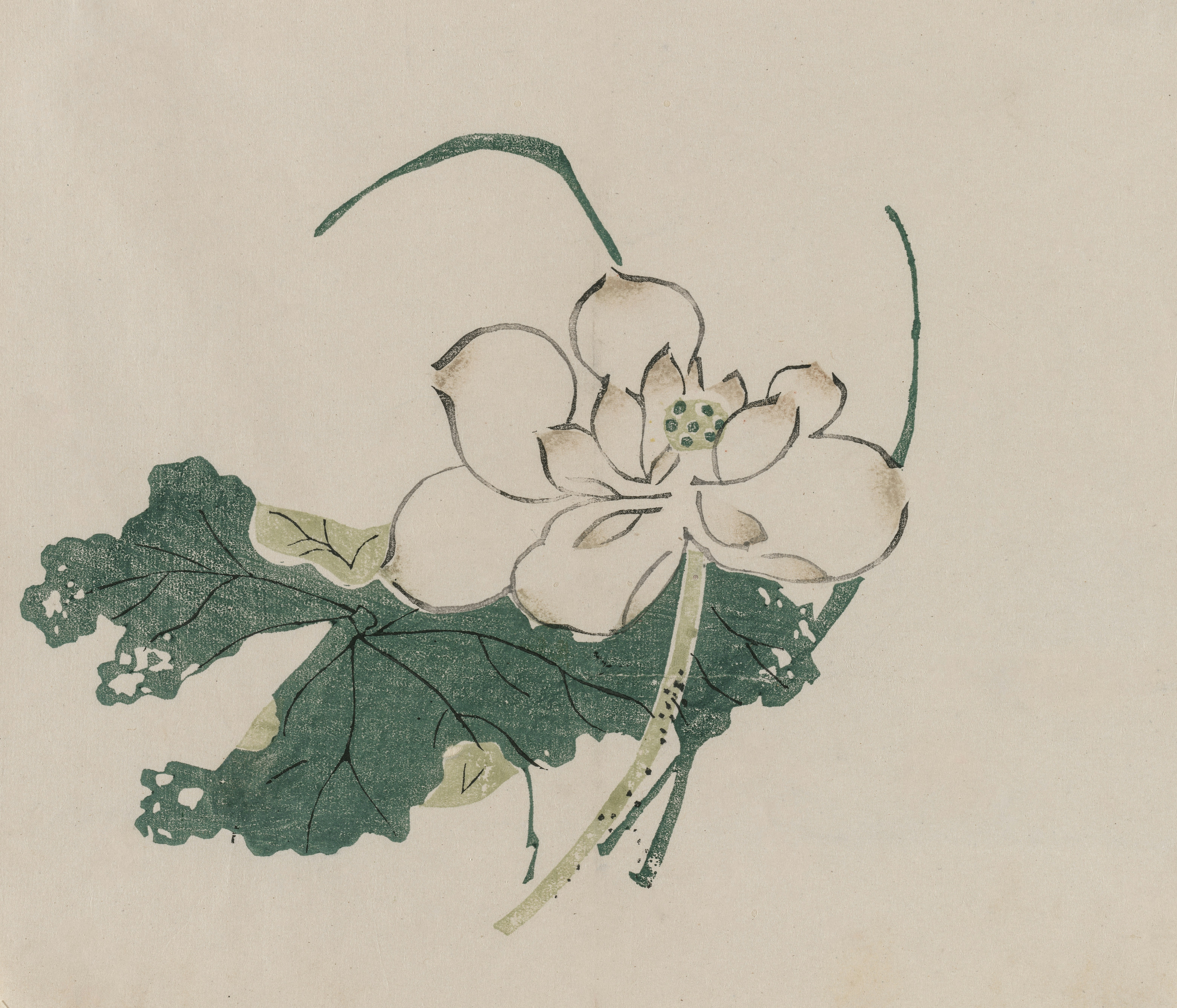 Photo by clevelandart